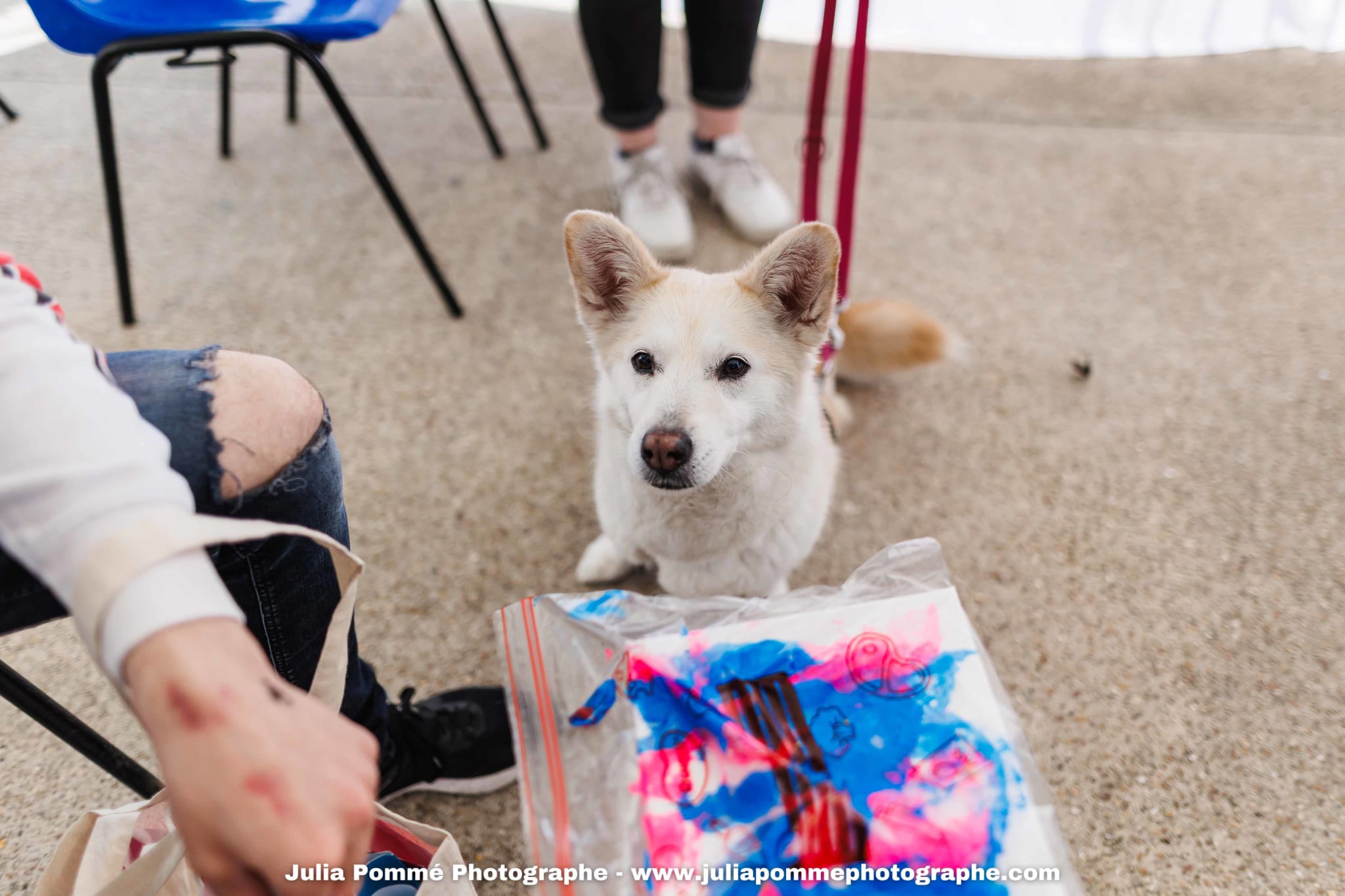 Photo du salon 2025 par Julia Pommé Photographe.