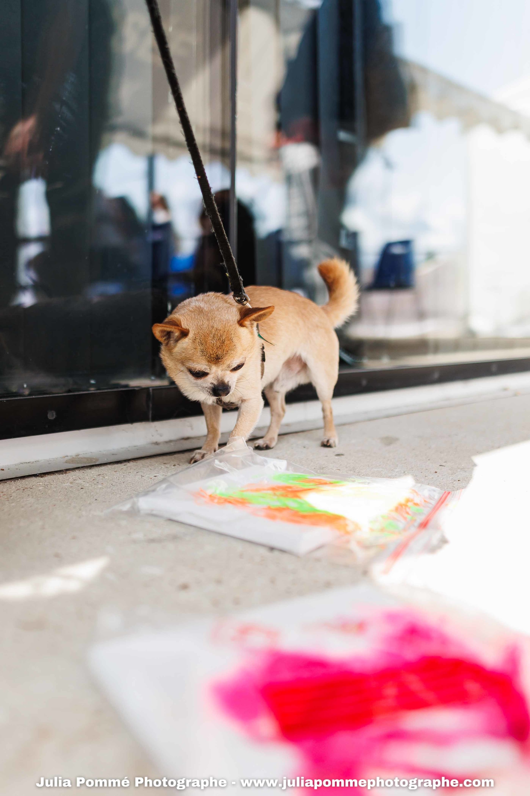 Photo du salon 2025 par Julia Pommé Photographe.