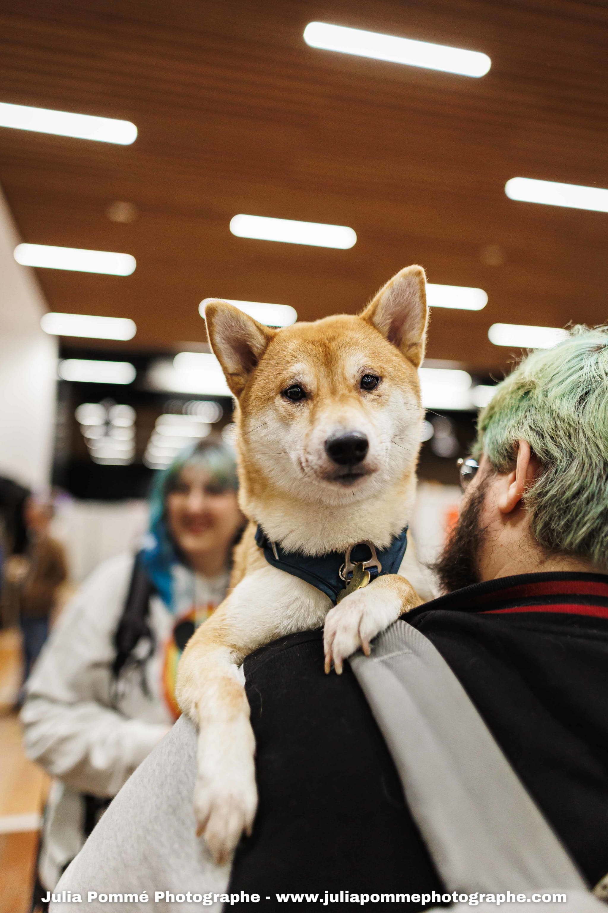 Photo du salon 2025 par Julia Pommé Photographe.