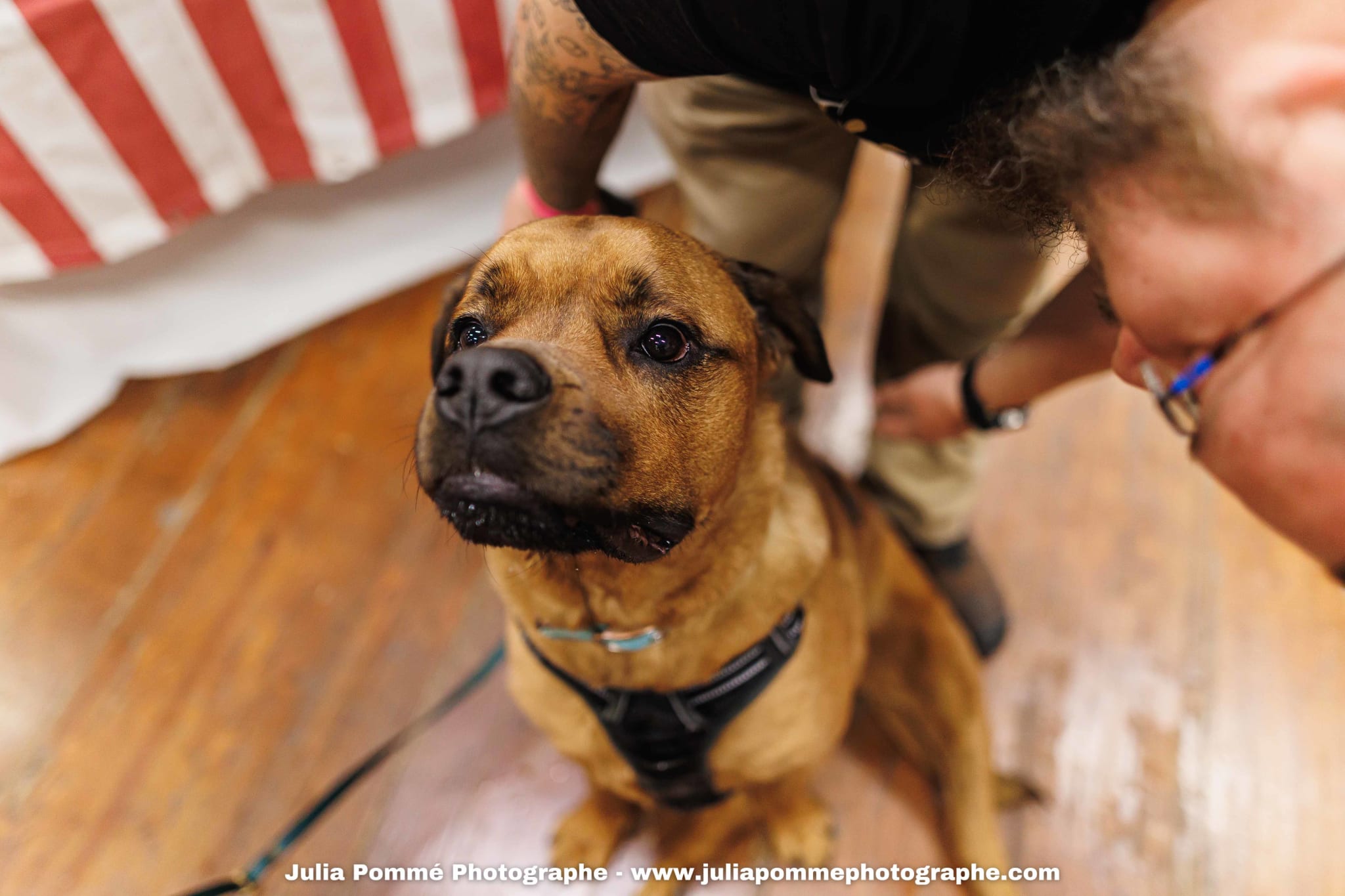 Photo du salon 2025 par Julia Pommé Photographe.