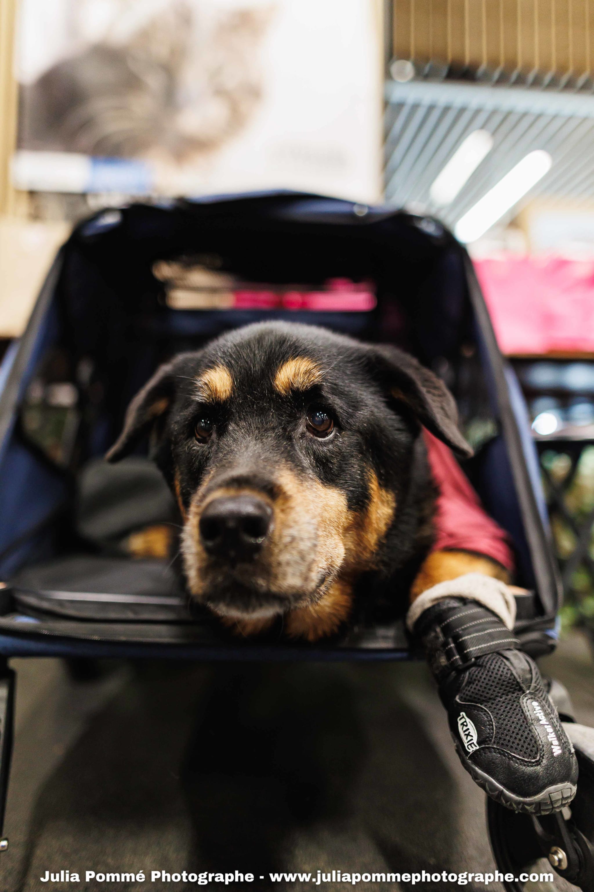 Photo du salon 2025 par Julia Pommé Photographe.