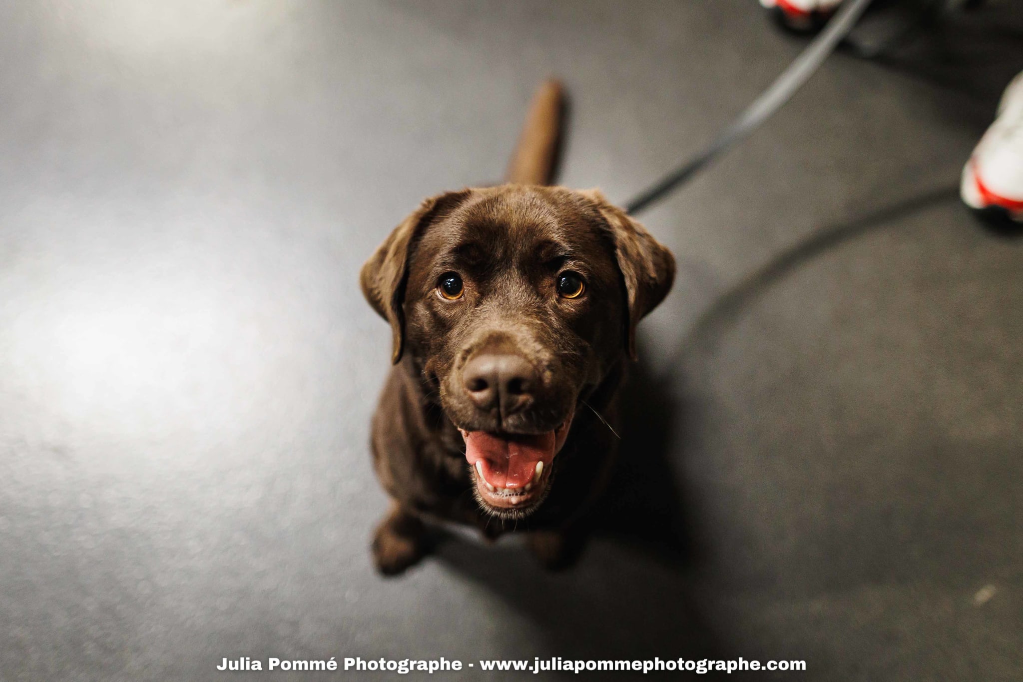 Photo du salon 2025 par Julia Pommé Photographe.