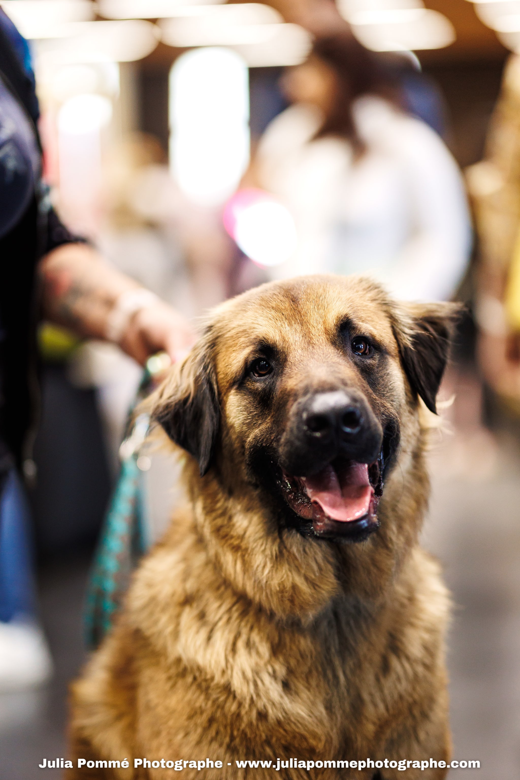 Photo du salon 2025 par Julia Pommé Photographe.