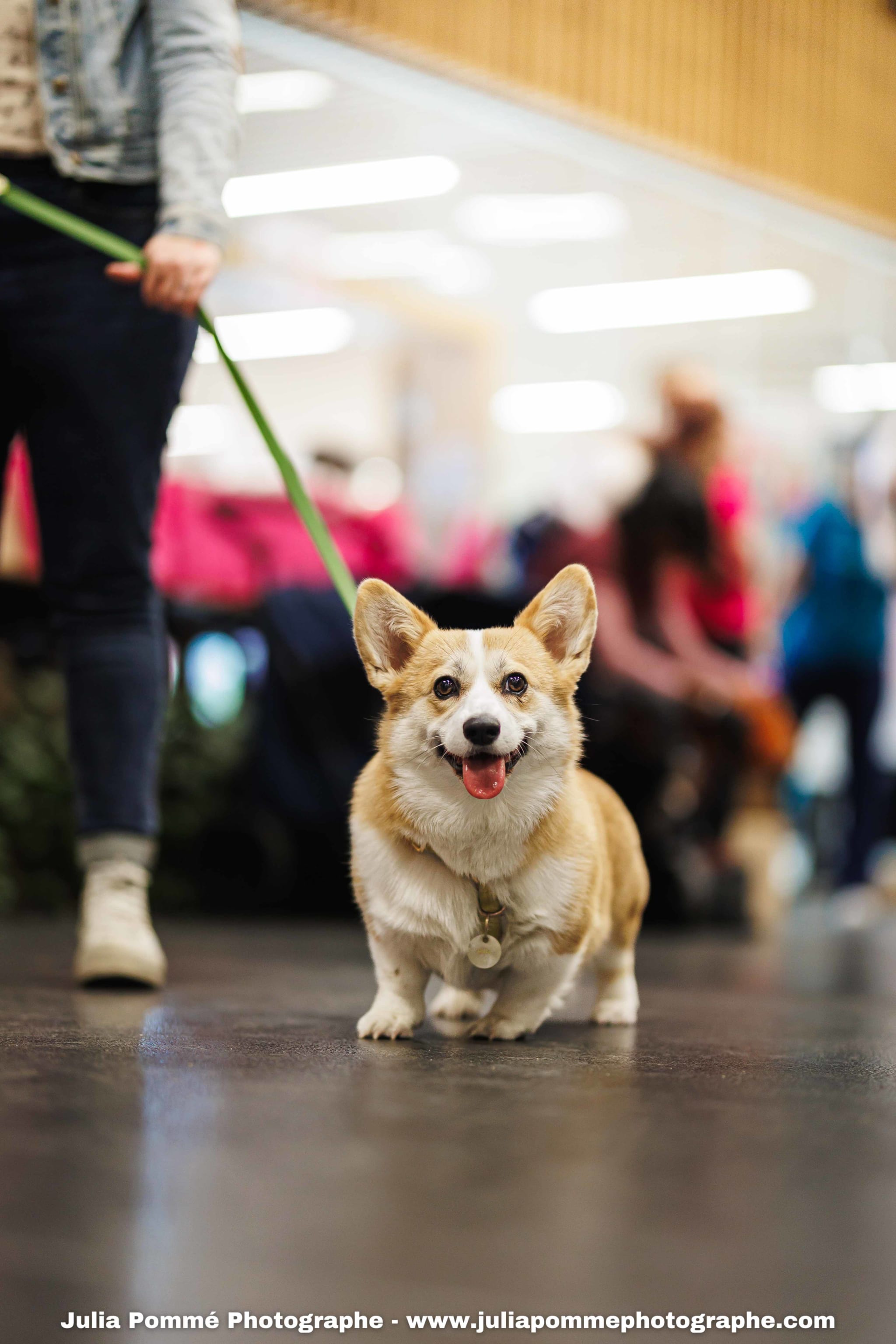Photo du salon 2025 par Julia Pommé Photographe.