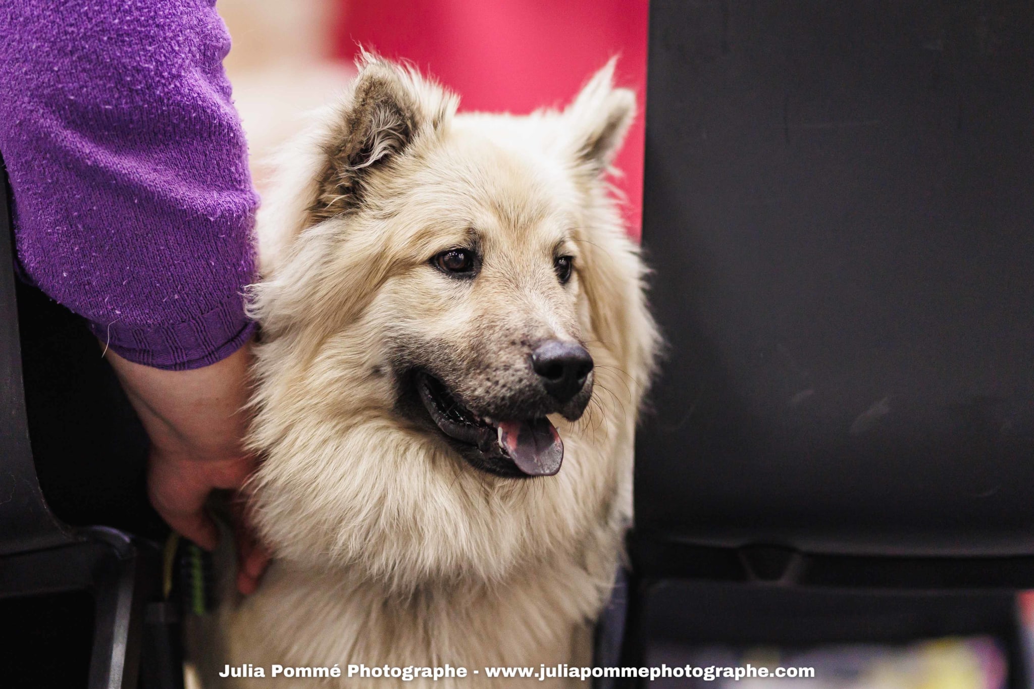 Photo du salon 2025 par Julia Pommé Photographe.