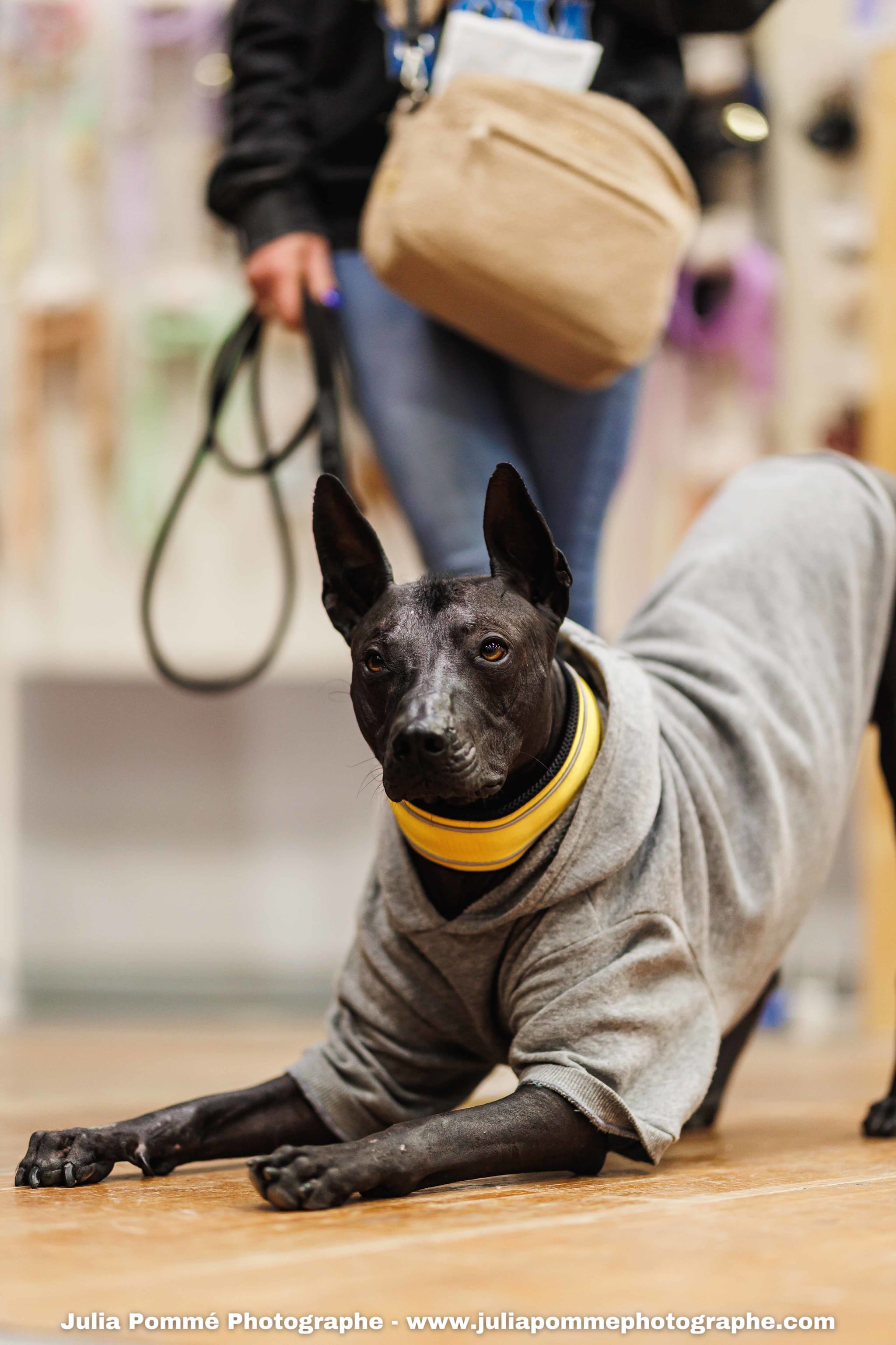 Photo du salon 2025 par Julia Pommé Photographe.