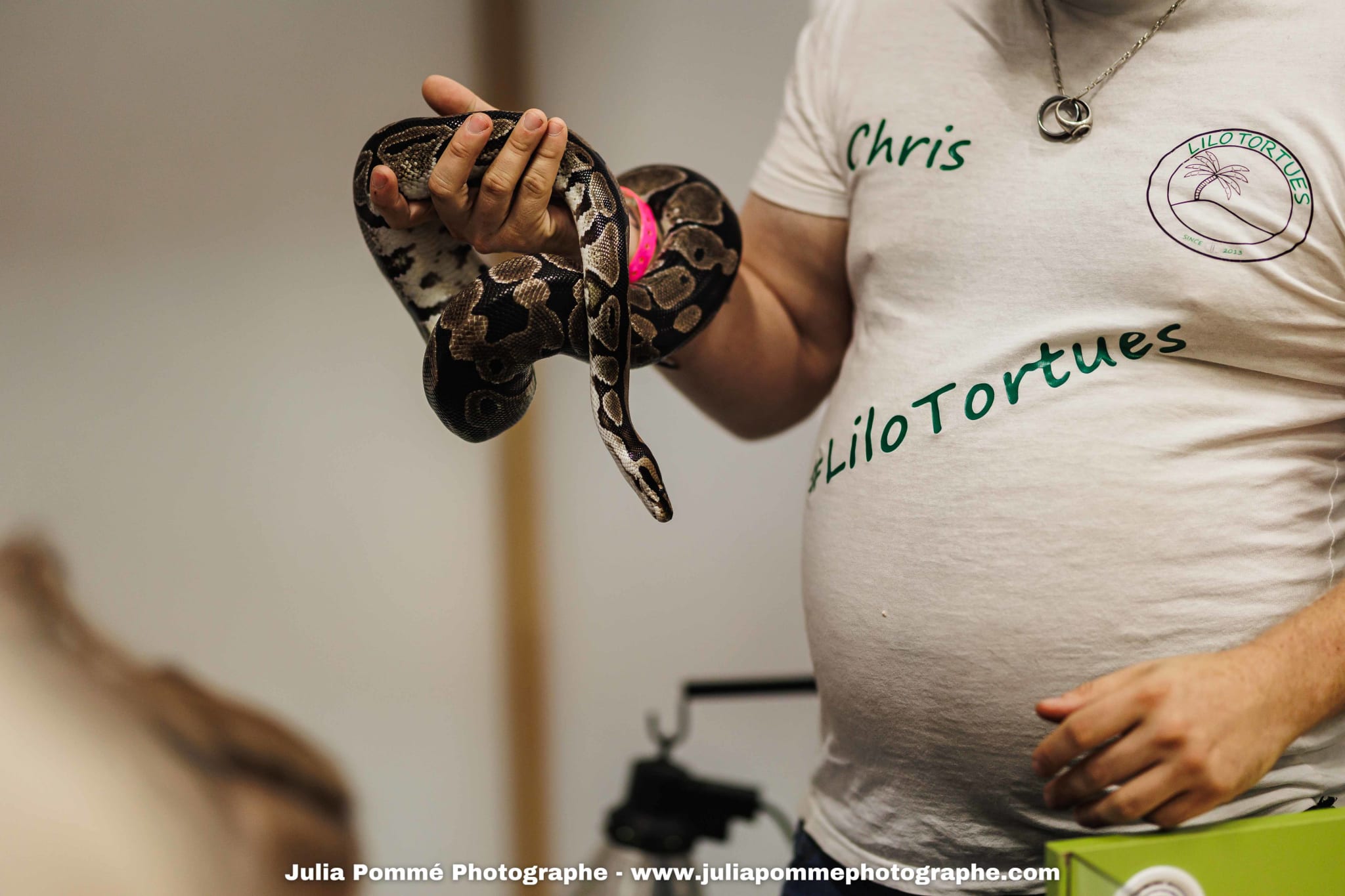 Photo du salon 2025 par Julia Pommé Photographe.