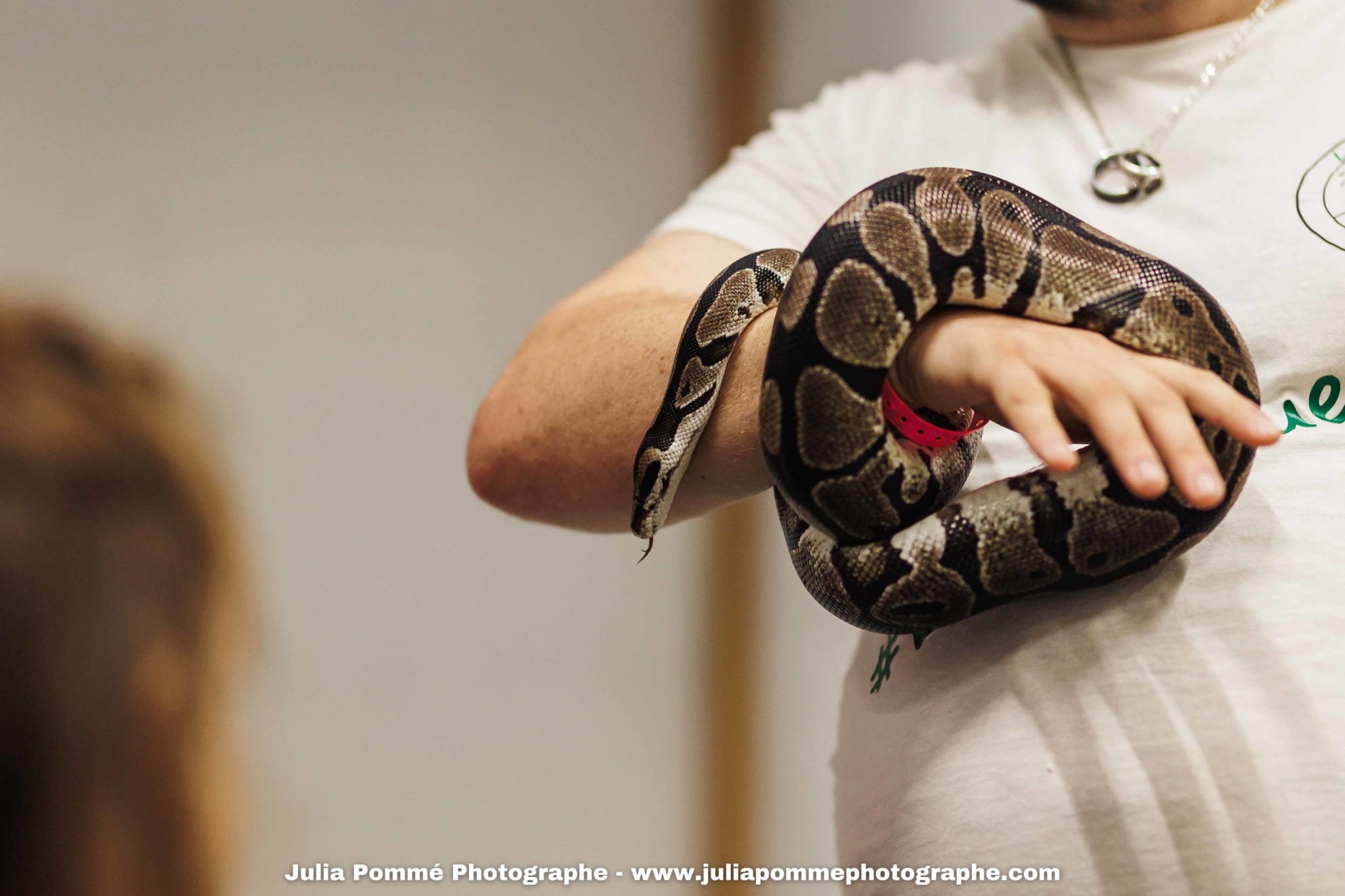 Photo du salon 2025 par Julia Pommé Photographe.