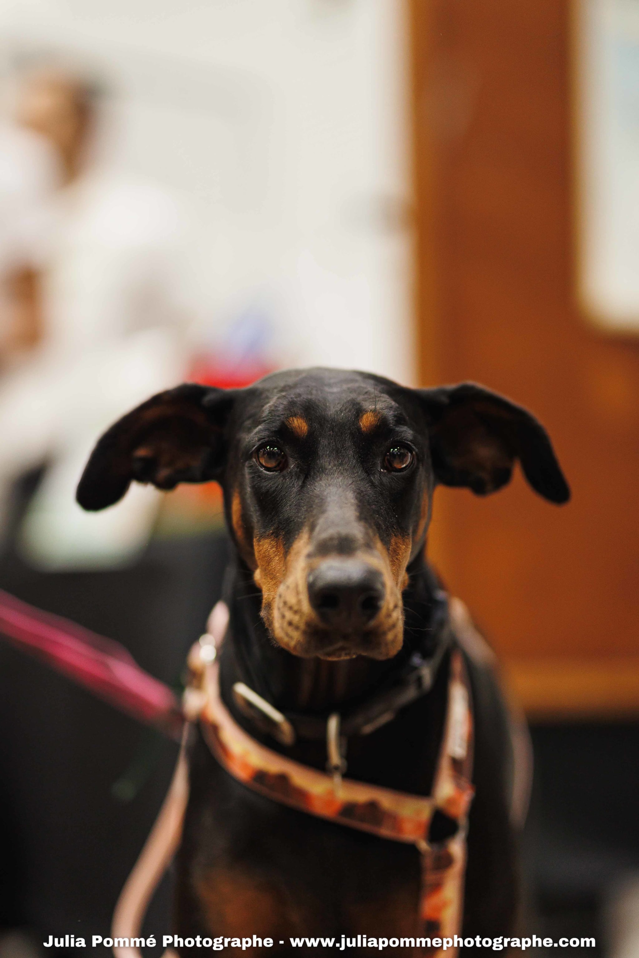 Photo du salon 2025 par Julia Pommé Photographe.