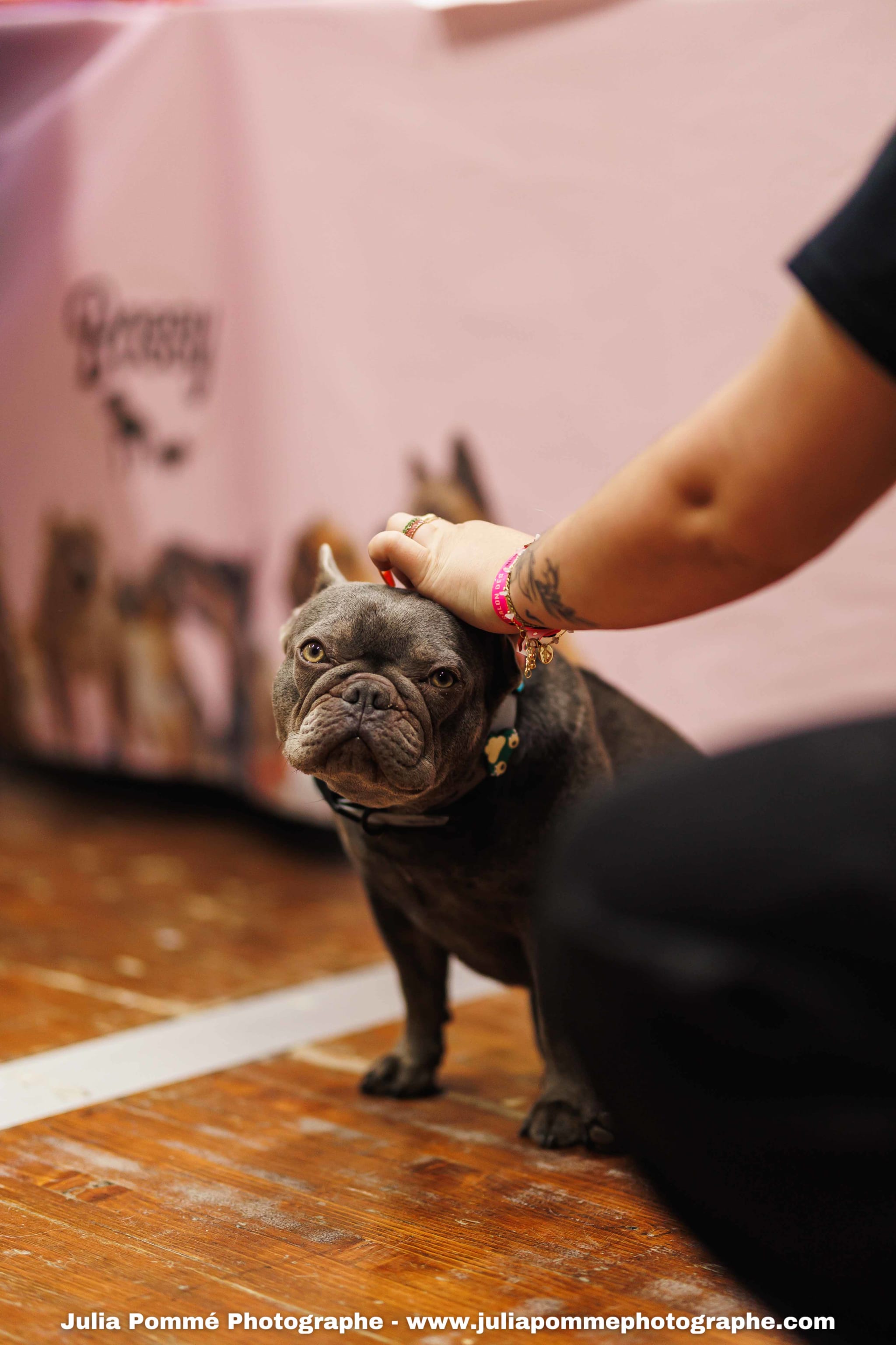 Photo du salon 2025 par Julia Pommé Photographe.