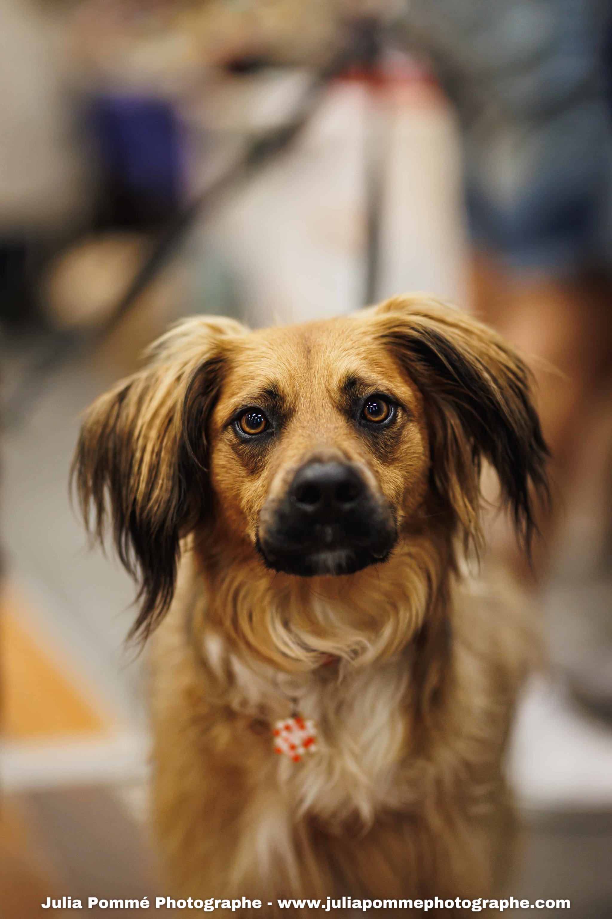 Photo du salon 2025 par Julia Pommé Photographe.