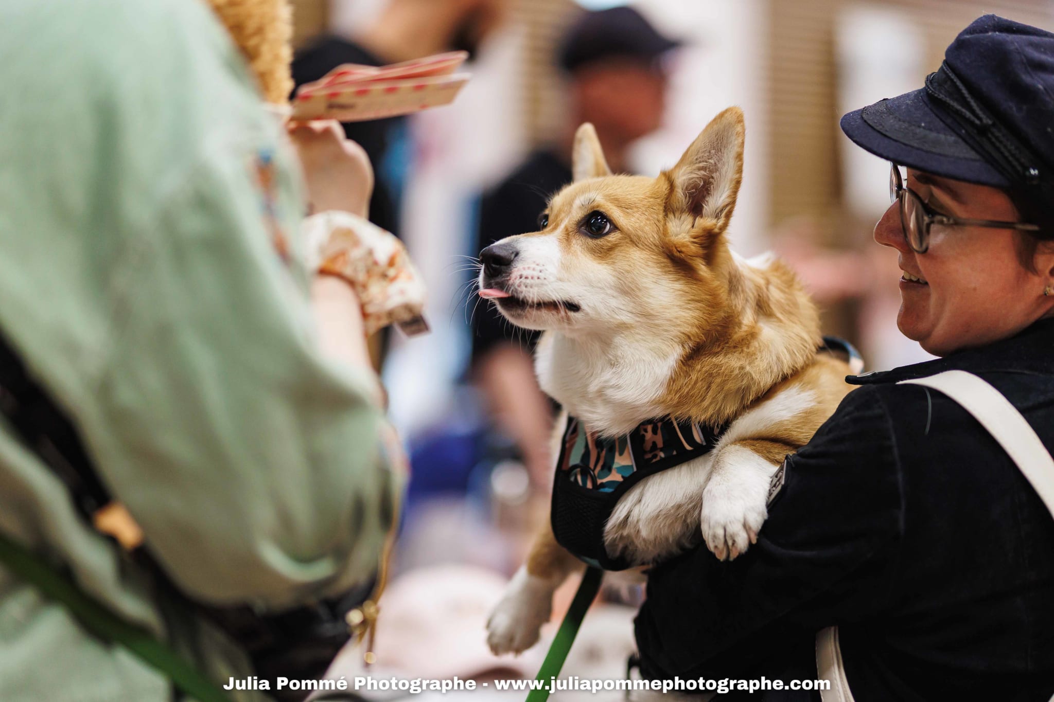 Photo du salon 2025 par Julia Pommé Photographe.