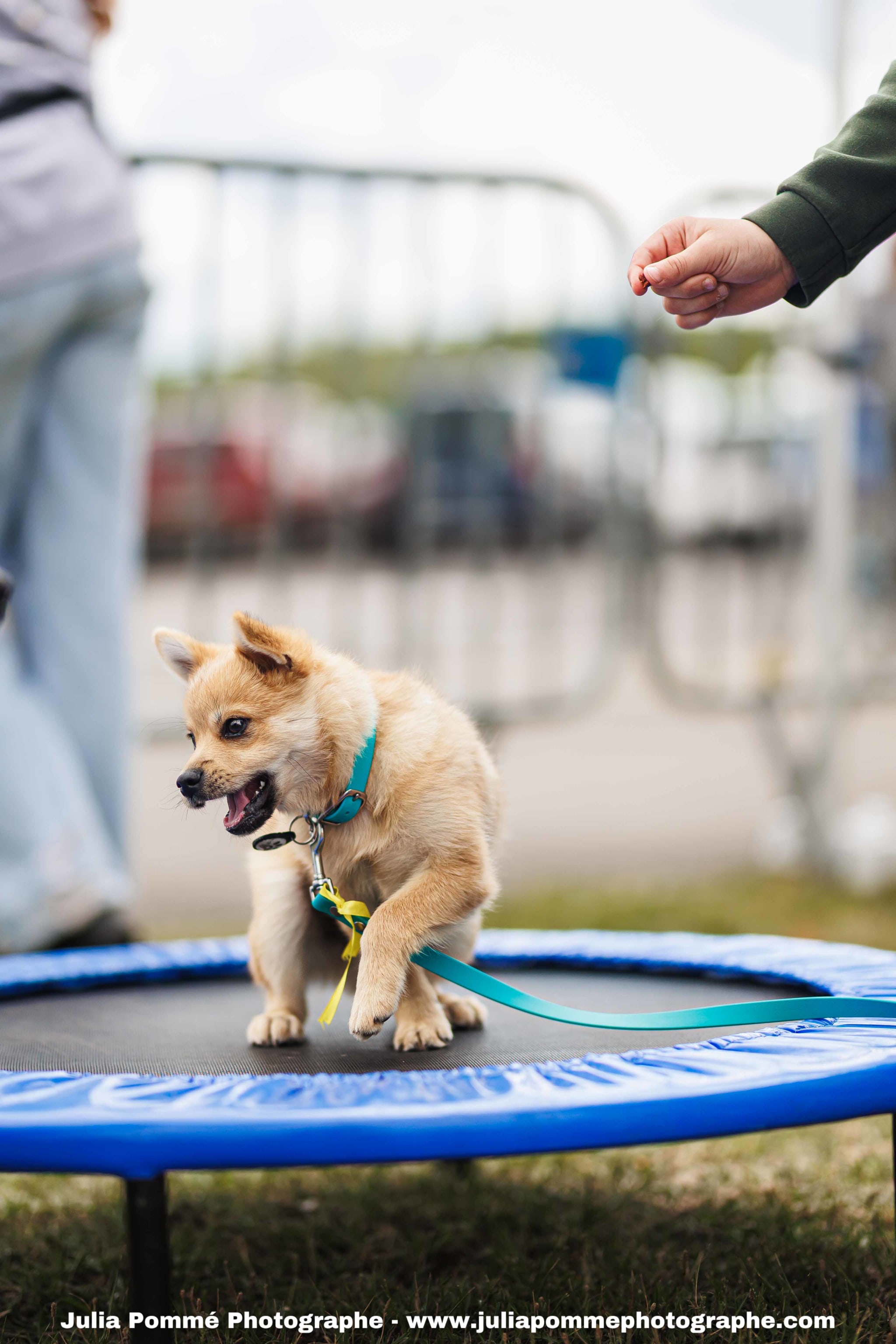 Photo du salon 2025 par Julia Pommé Photographe.