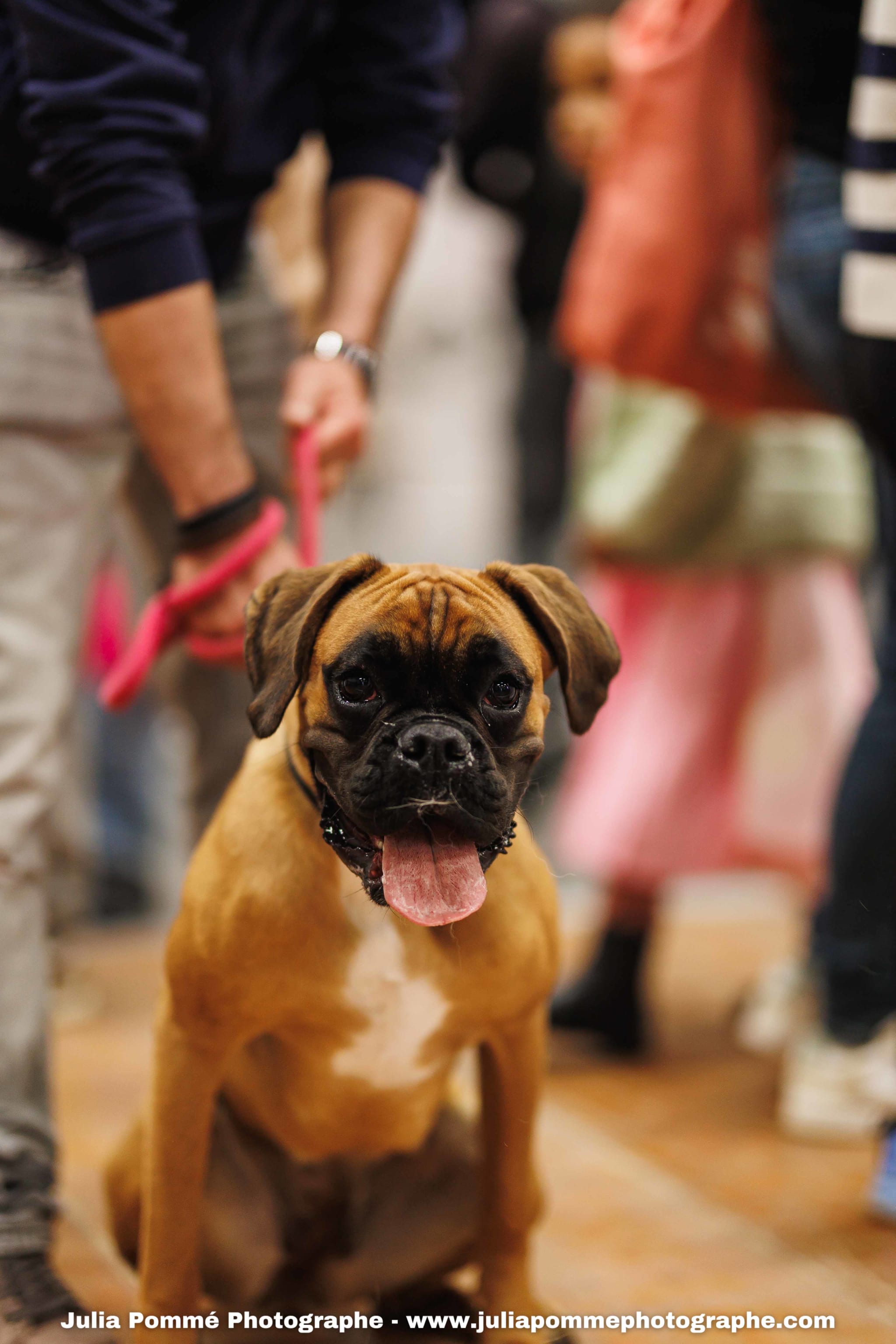 Photo du salon 2025 par Julia Pommé Photographe.