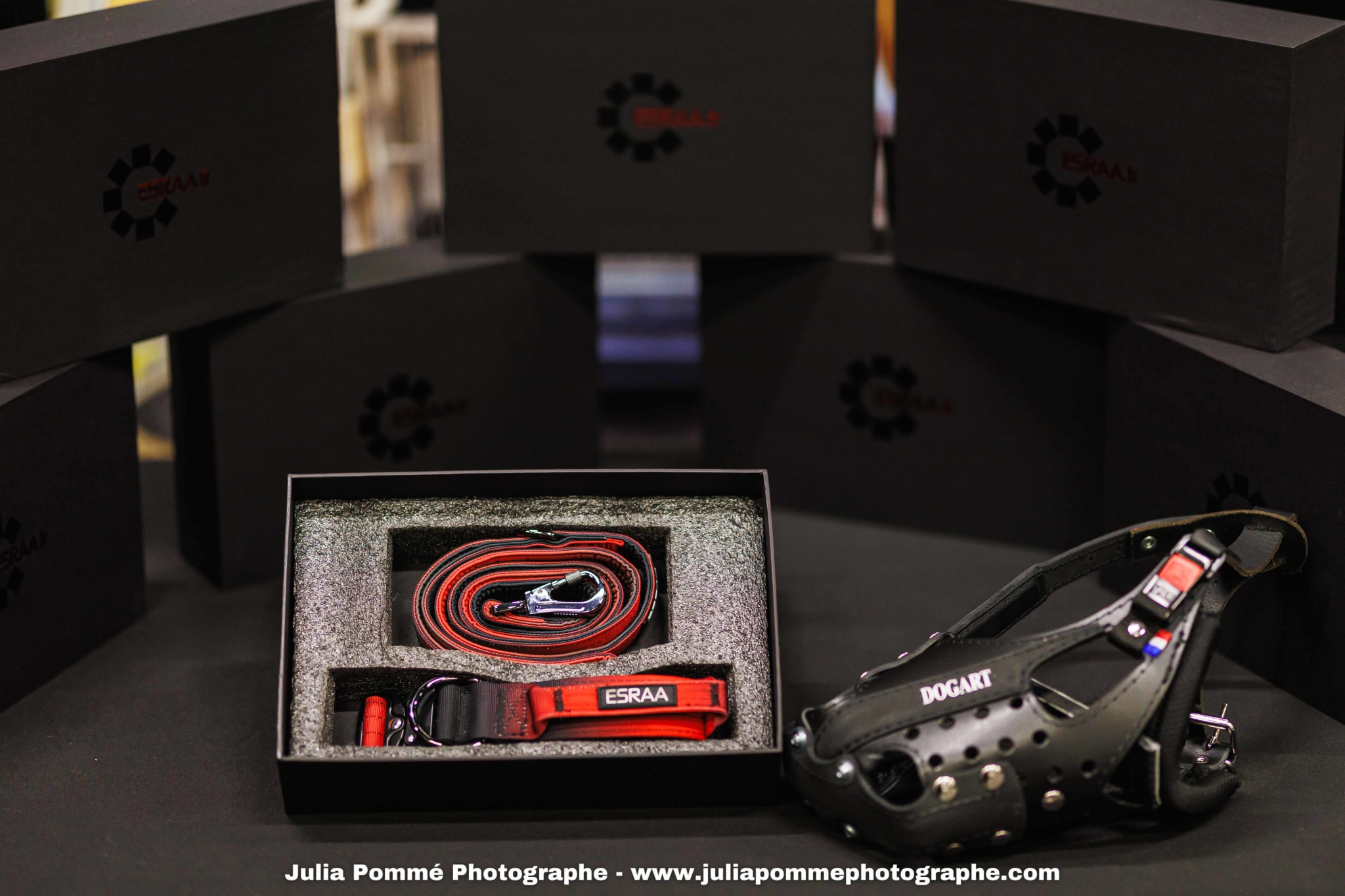 Photo du salon 2025 par Julia Pommé Photographe.