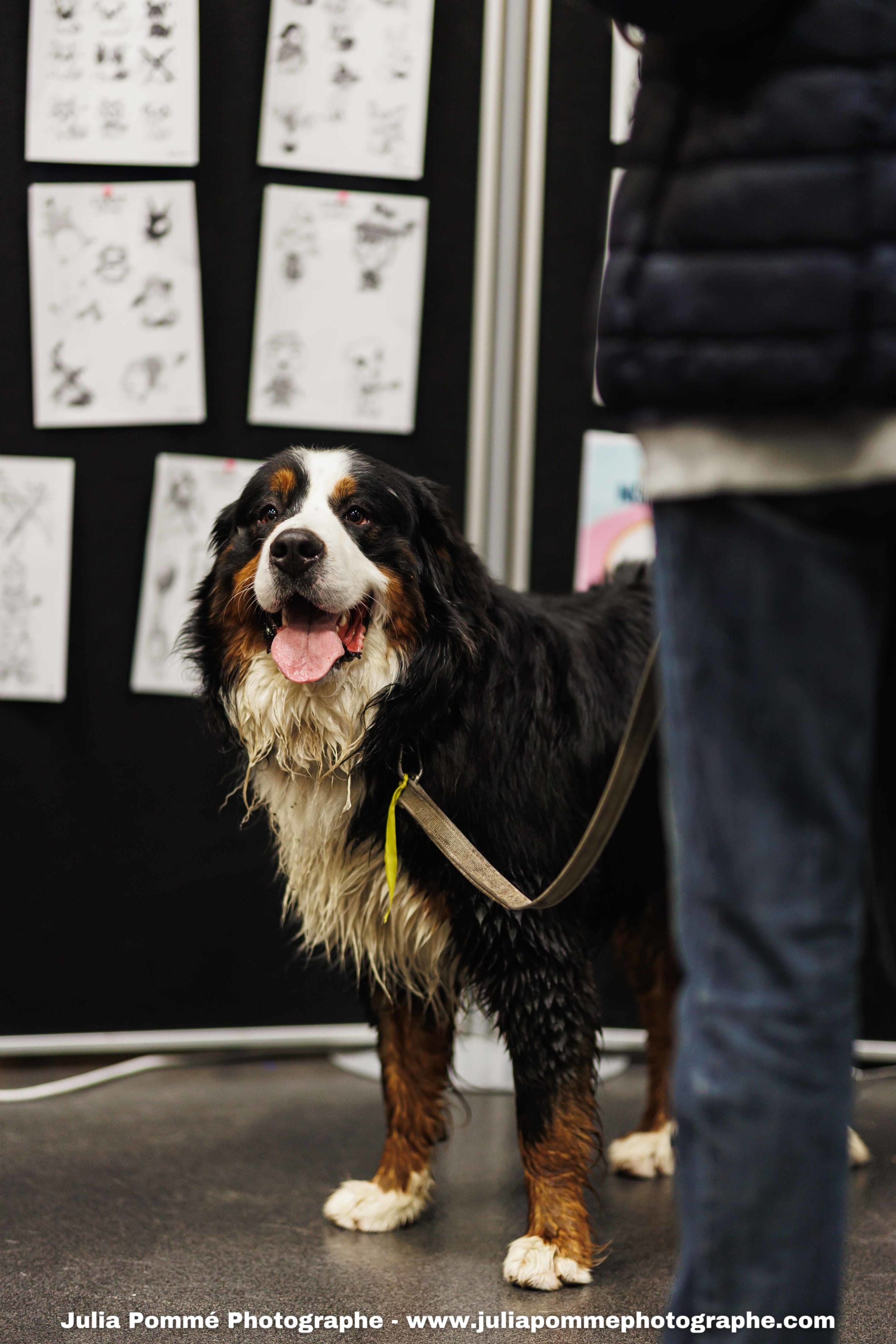 Photo du salon 2025 par Julia Pommé Photographe.