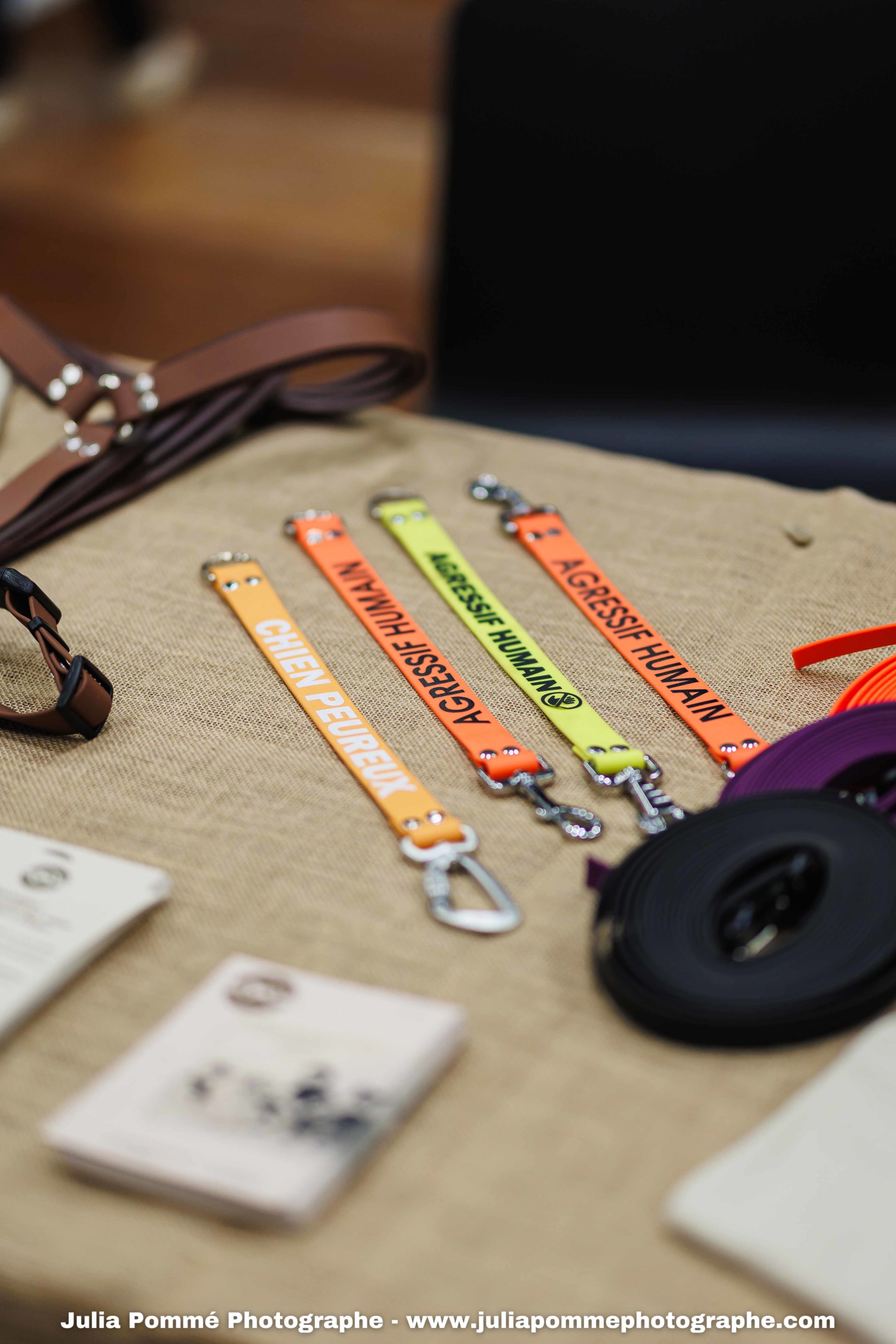 Photo du salon 2025 par Julia Pommé Photographe.