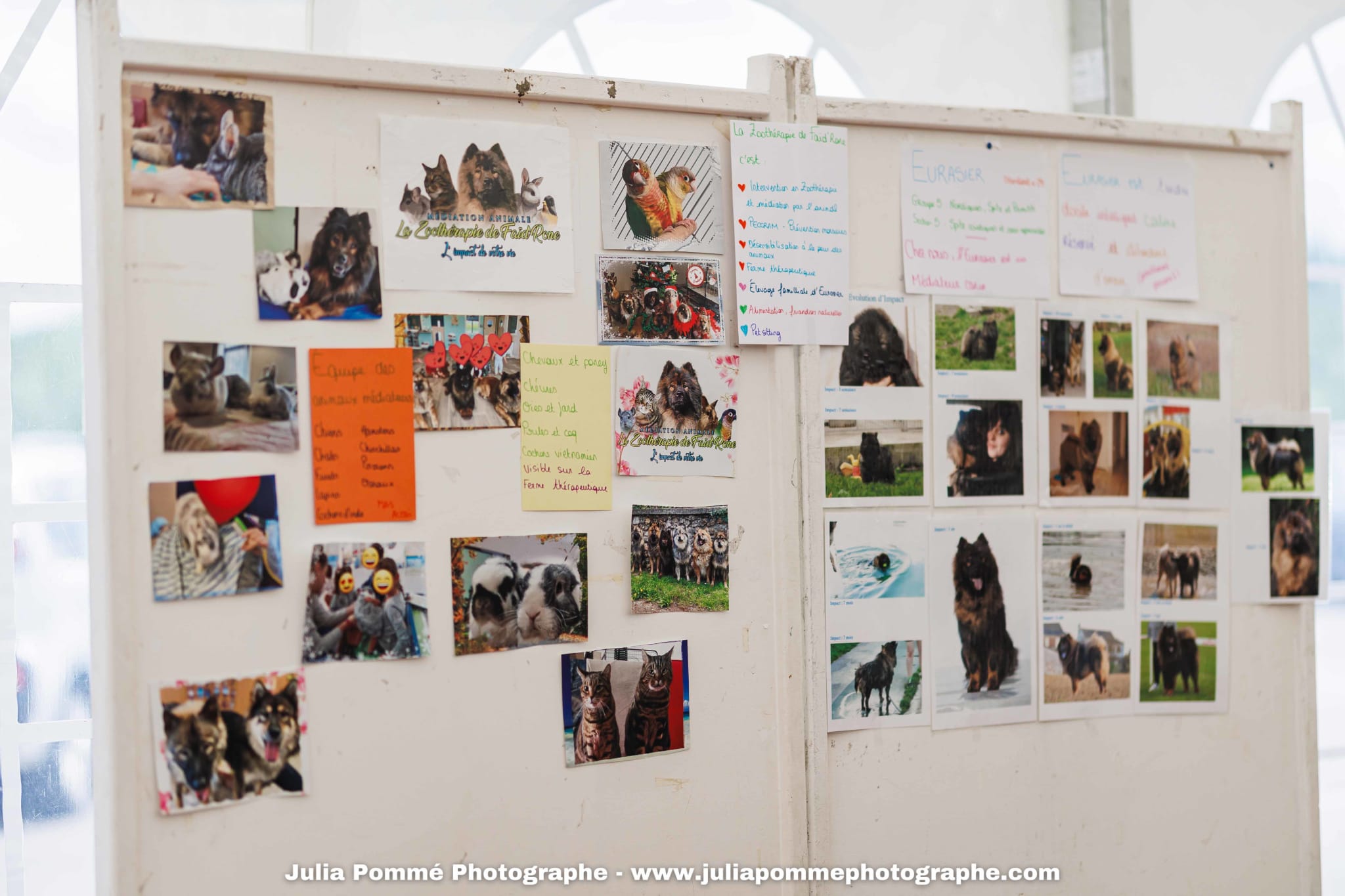 Photo du salon 2025 par Julia Pommé Photographe.
