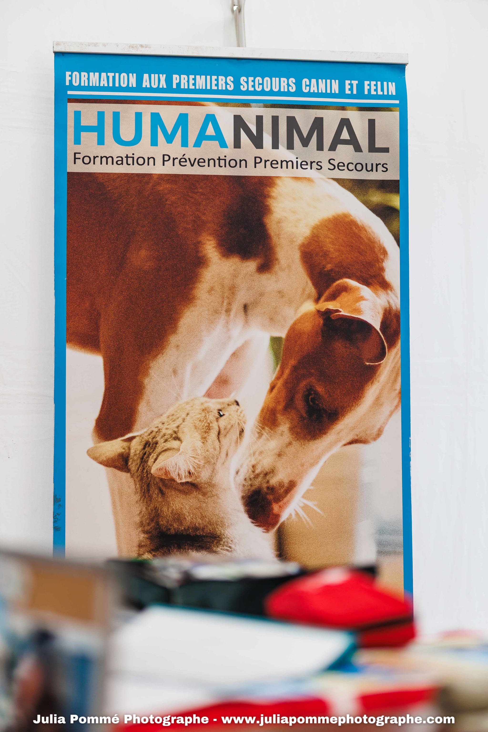 Photo du salon 2025 par Julia Pommé Photographe.