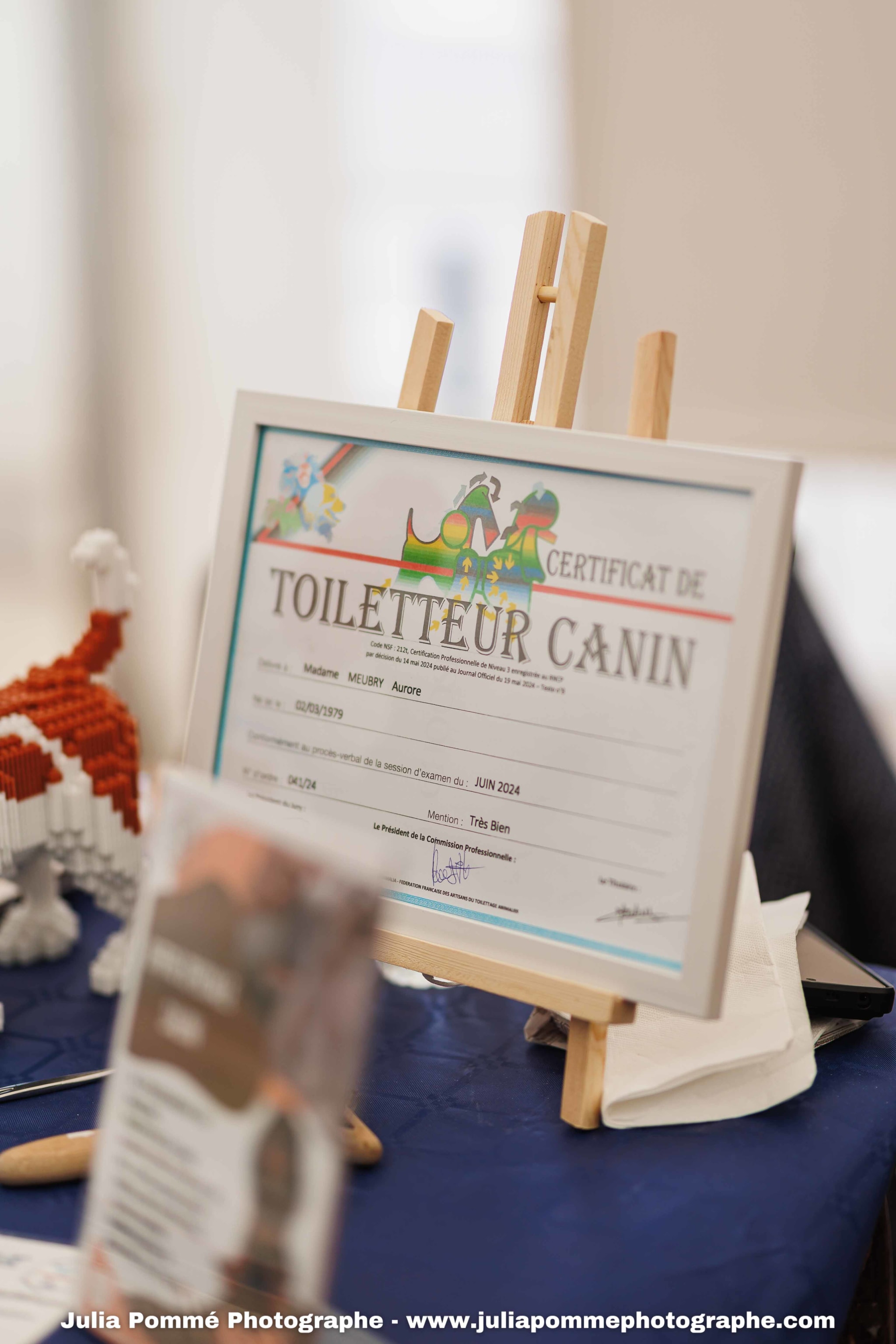 Photo du salon 2025 par Julia Pommé Photographe.