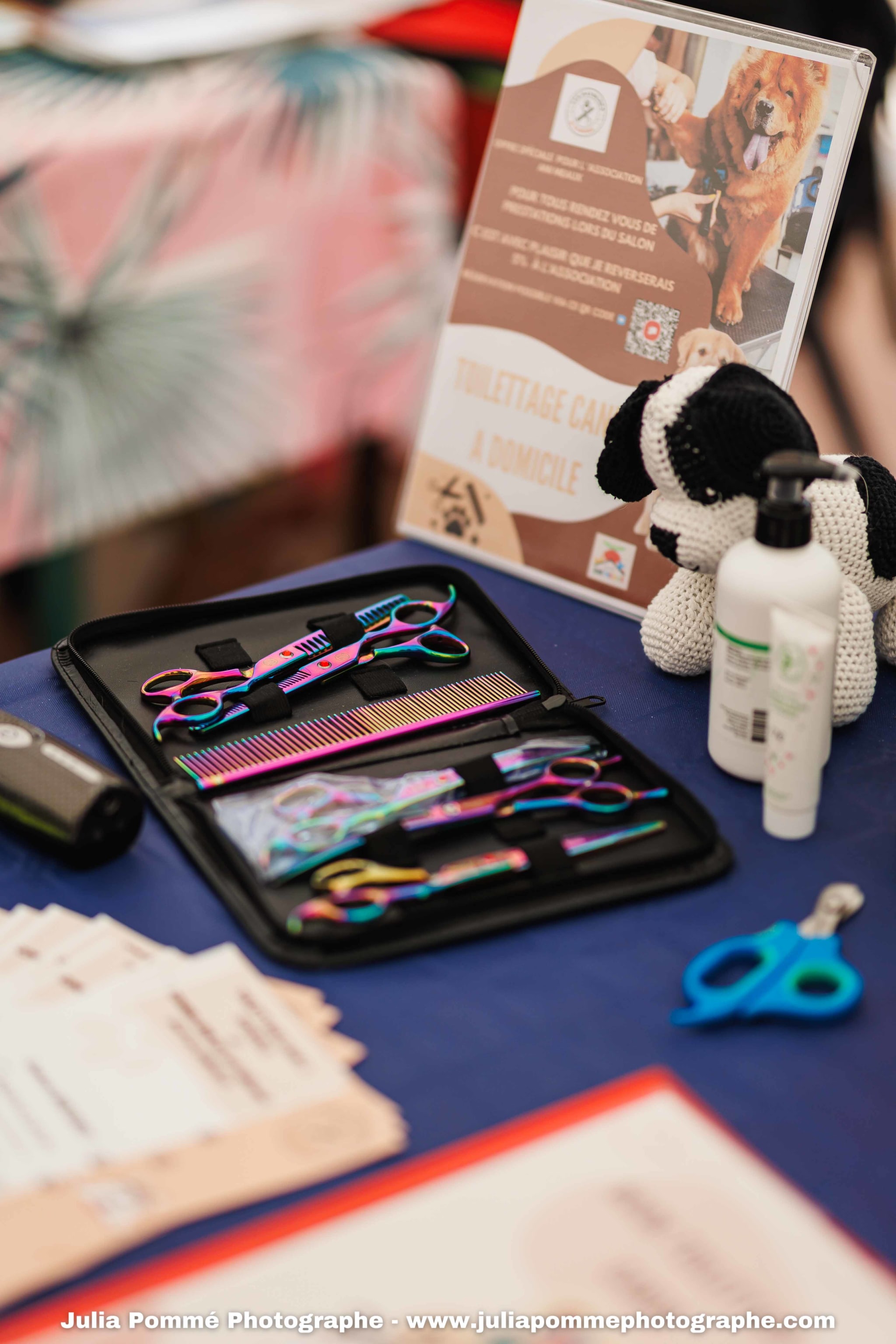 Photo du salon 2025 par Julia Pommé Photographe.