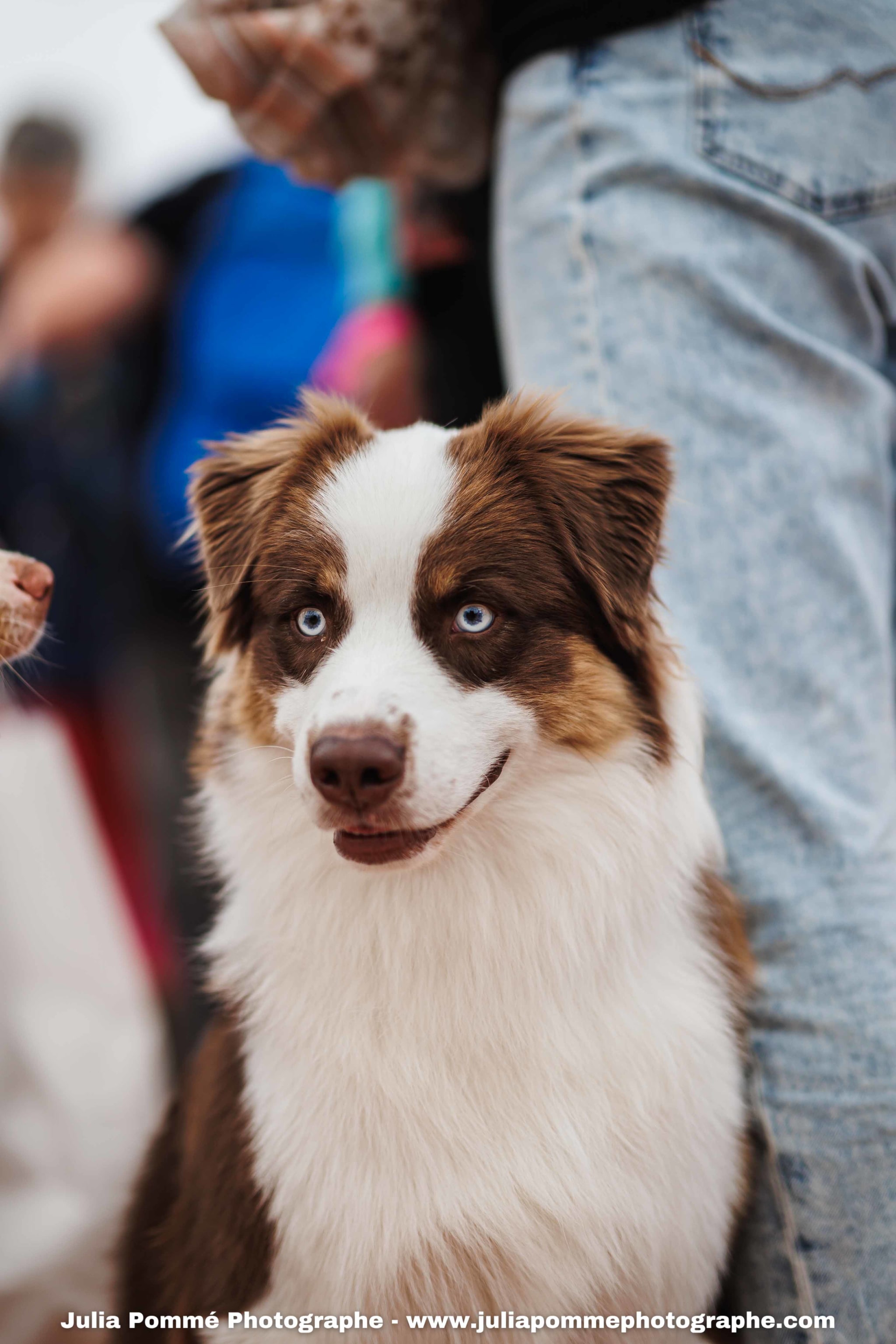 Photo du salon 2025 par Julia Pommé Photographe.