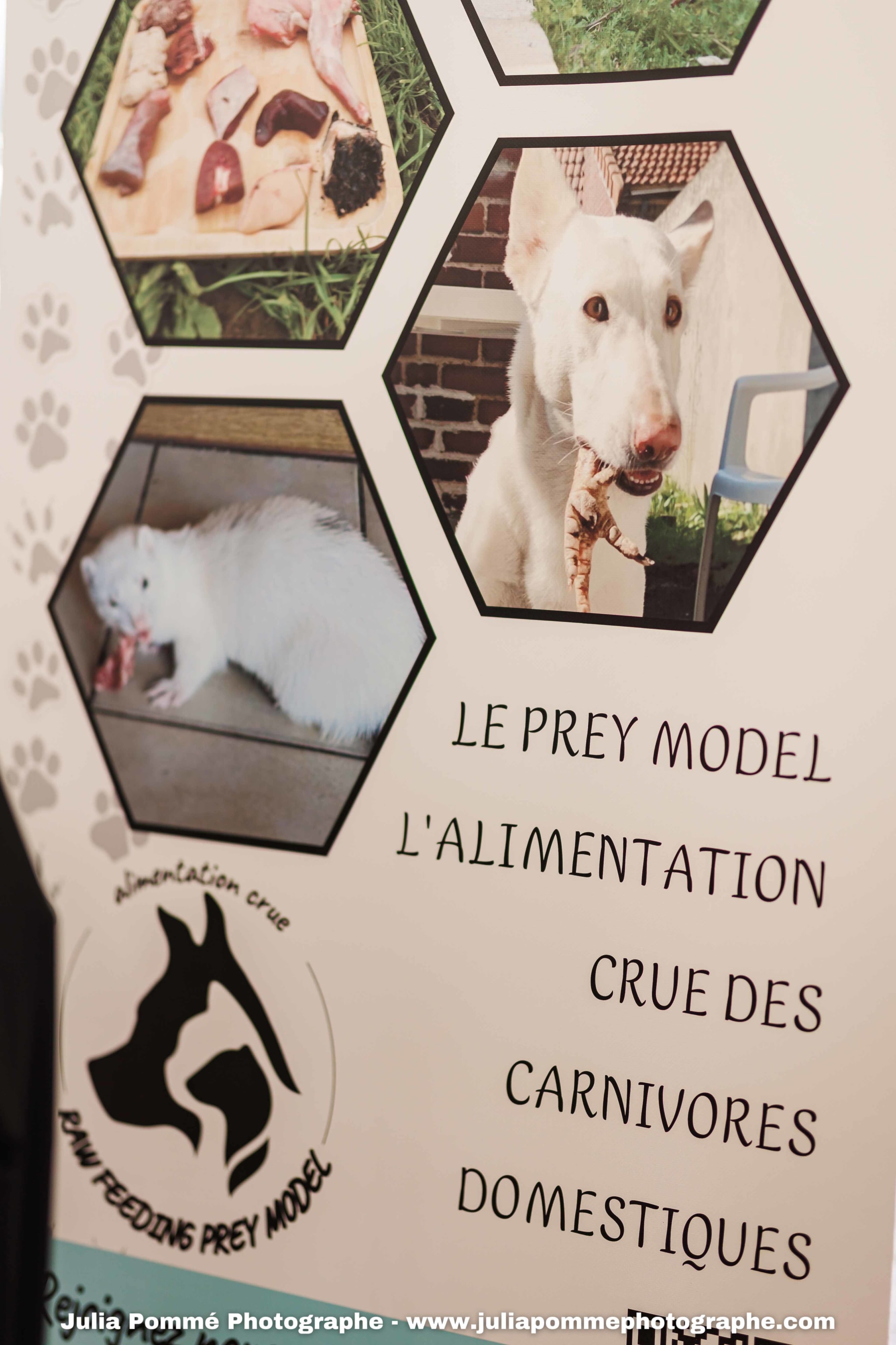 Photo du salon 2025 par Julia Pommé Photographe.