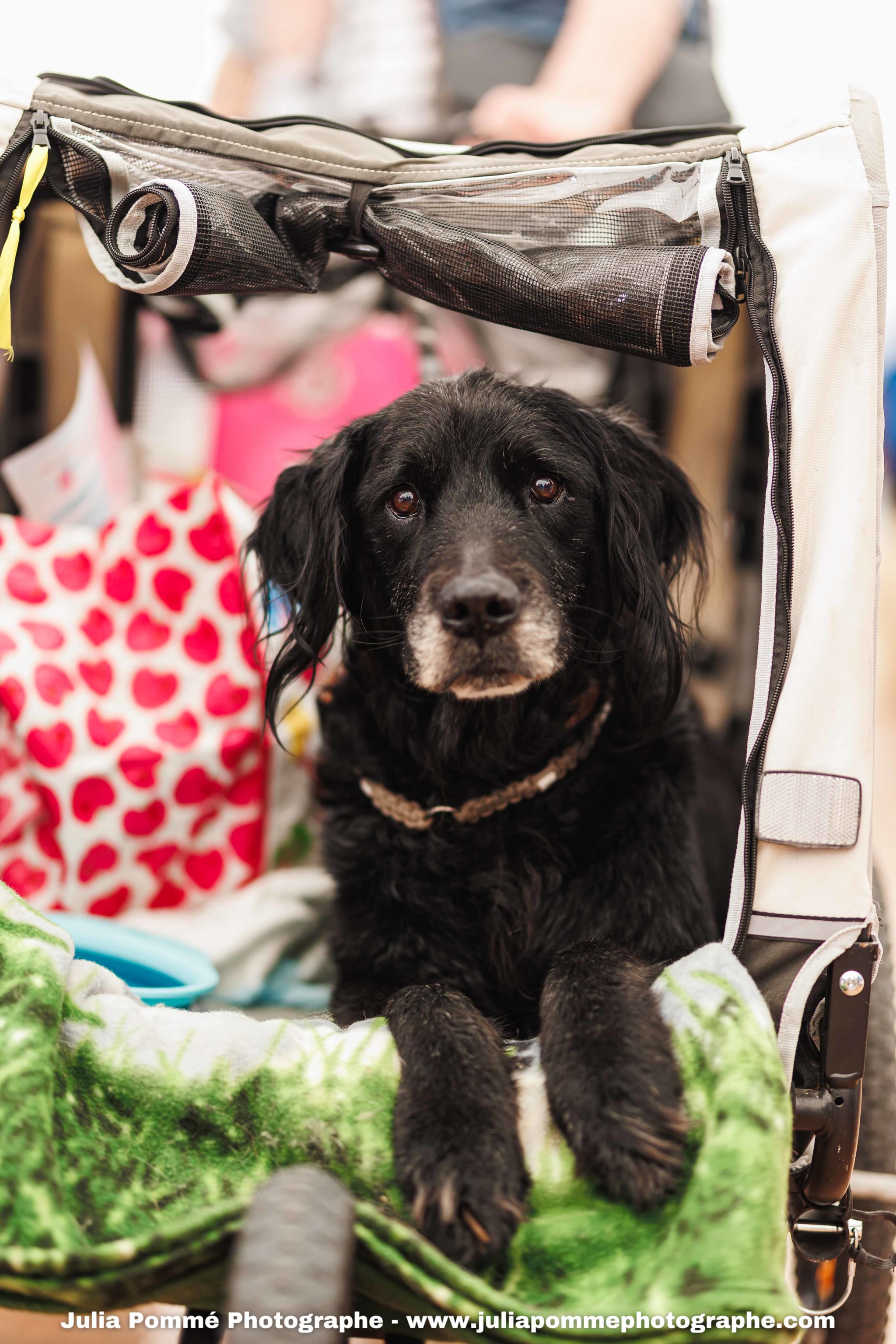 Photo du salon 2025 par Julia Pommé Photographe.