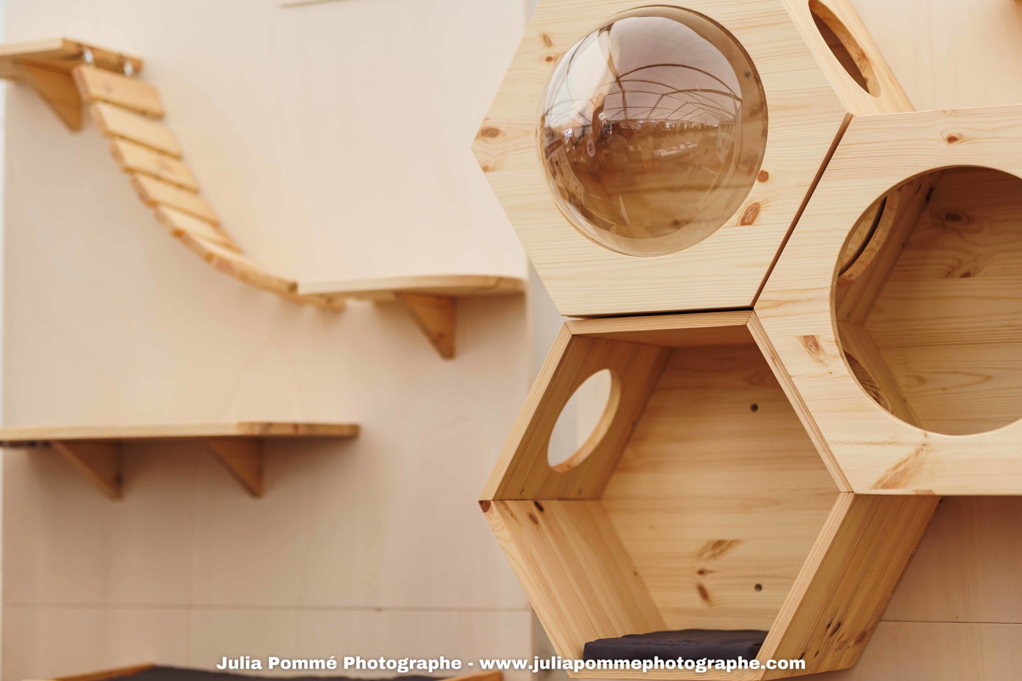 Photo du salon 2025 par Julia Pommé Photographe.