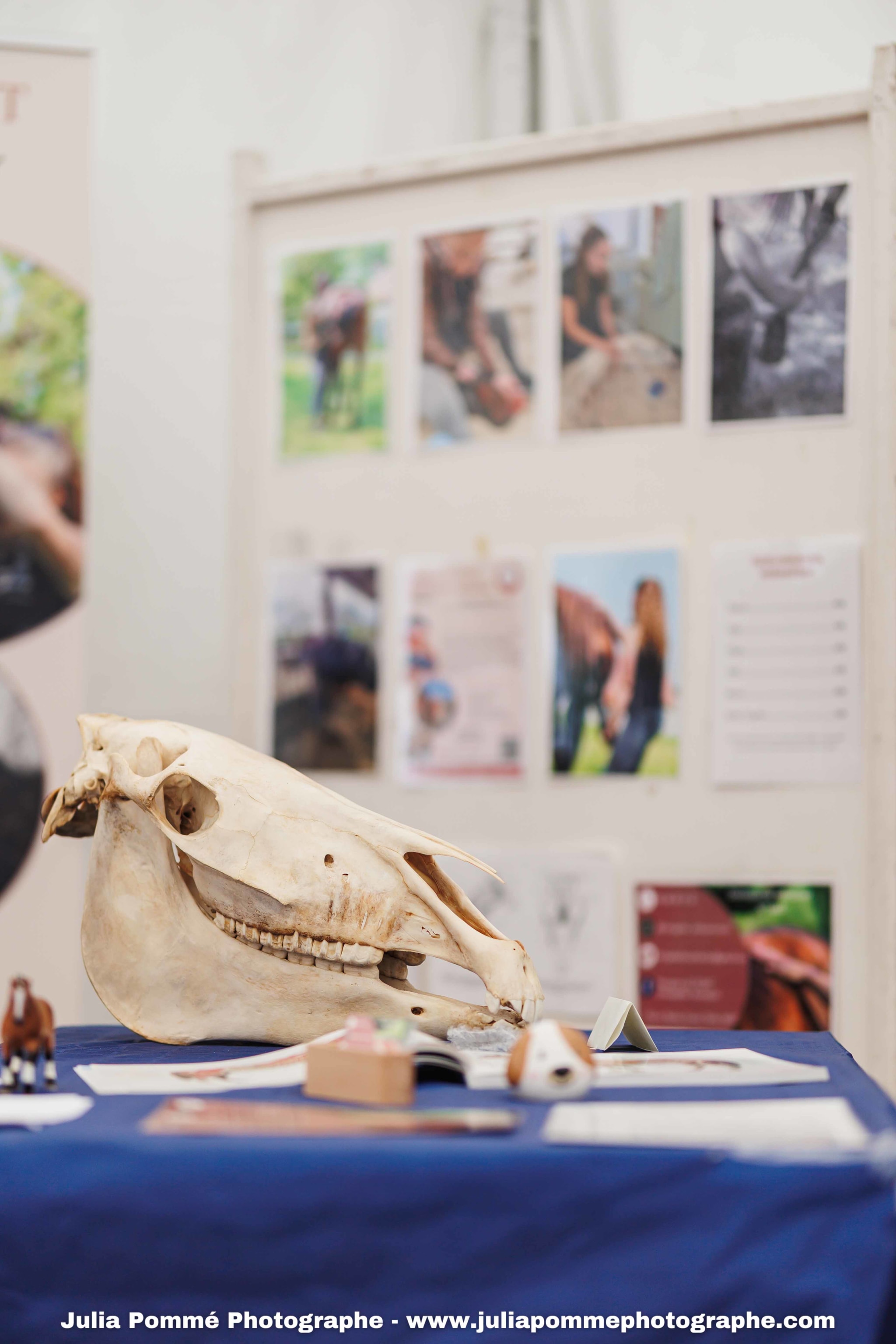 Photo du salon 2025 par Julia Pommé Photographe.