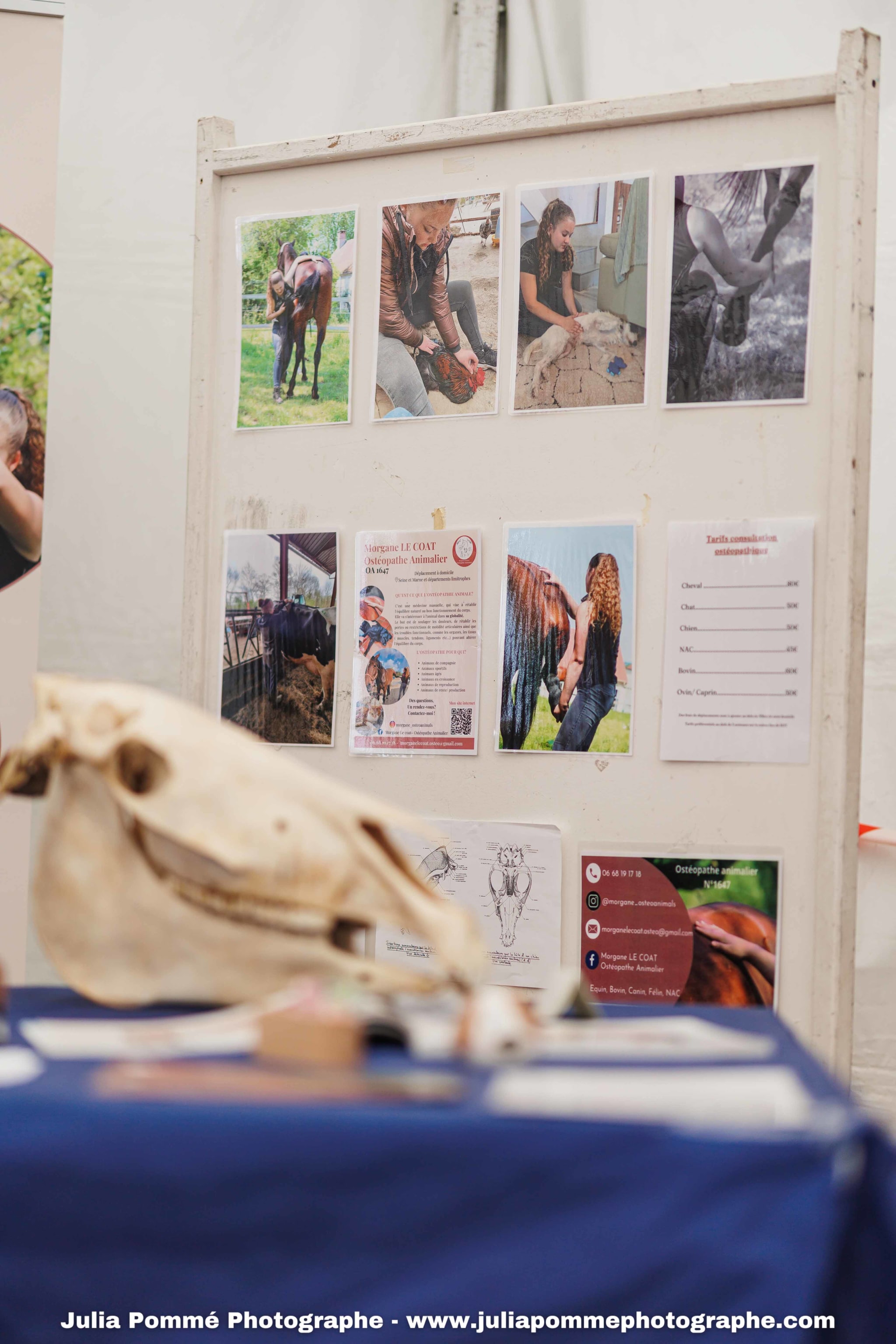 Photo du salon 2025 par Julia Pommé Photographe.