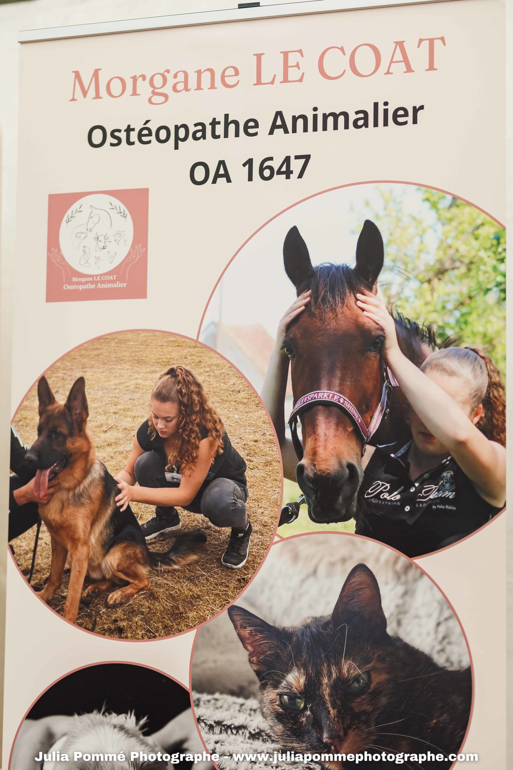 Photo du salon 2025 par Julia Pommé Photographe.