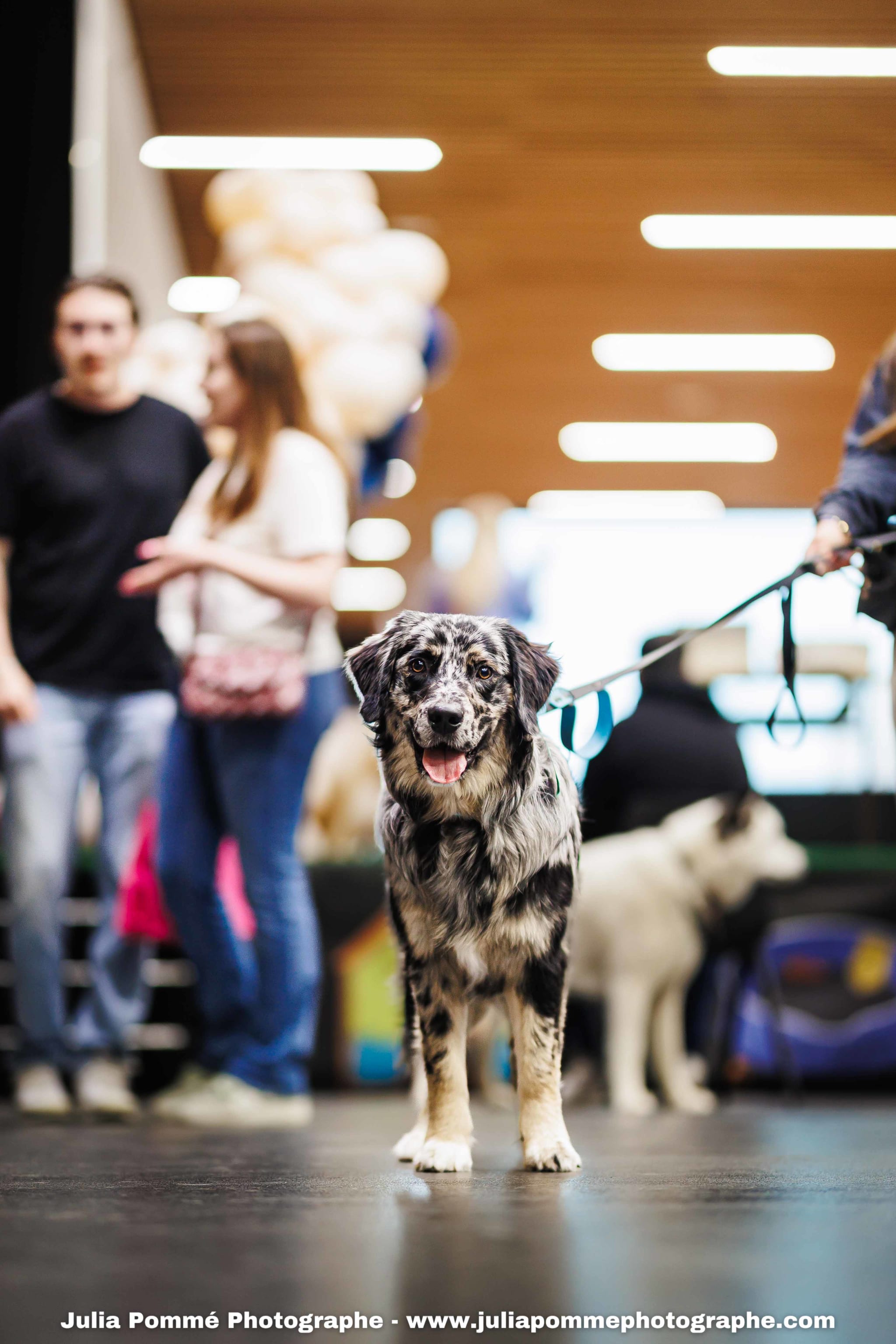 Photo du salon 2025 par Julia Pommé Photographe.