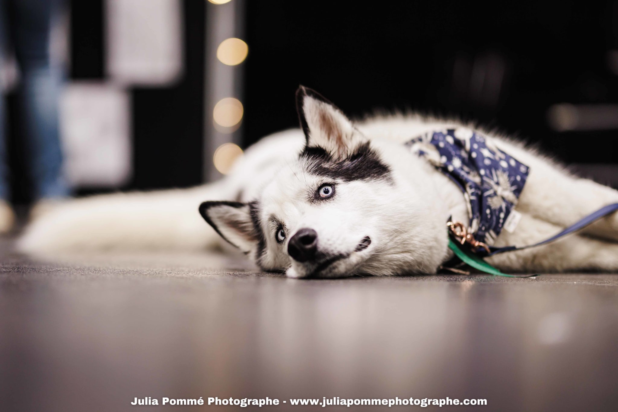 Photo du salon 2025 par Julia Pommé Photographe.