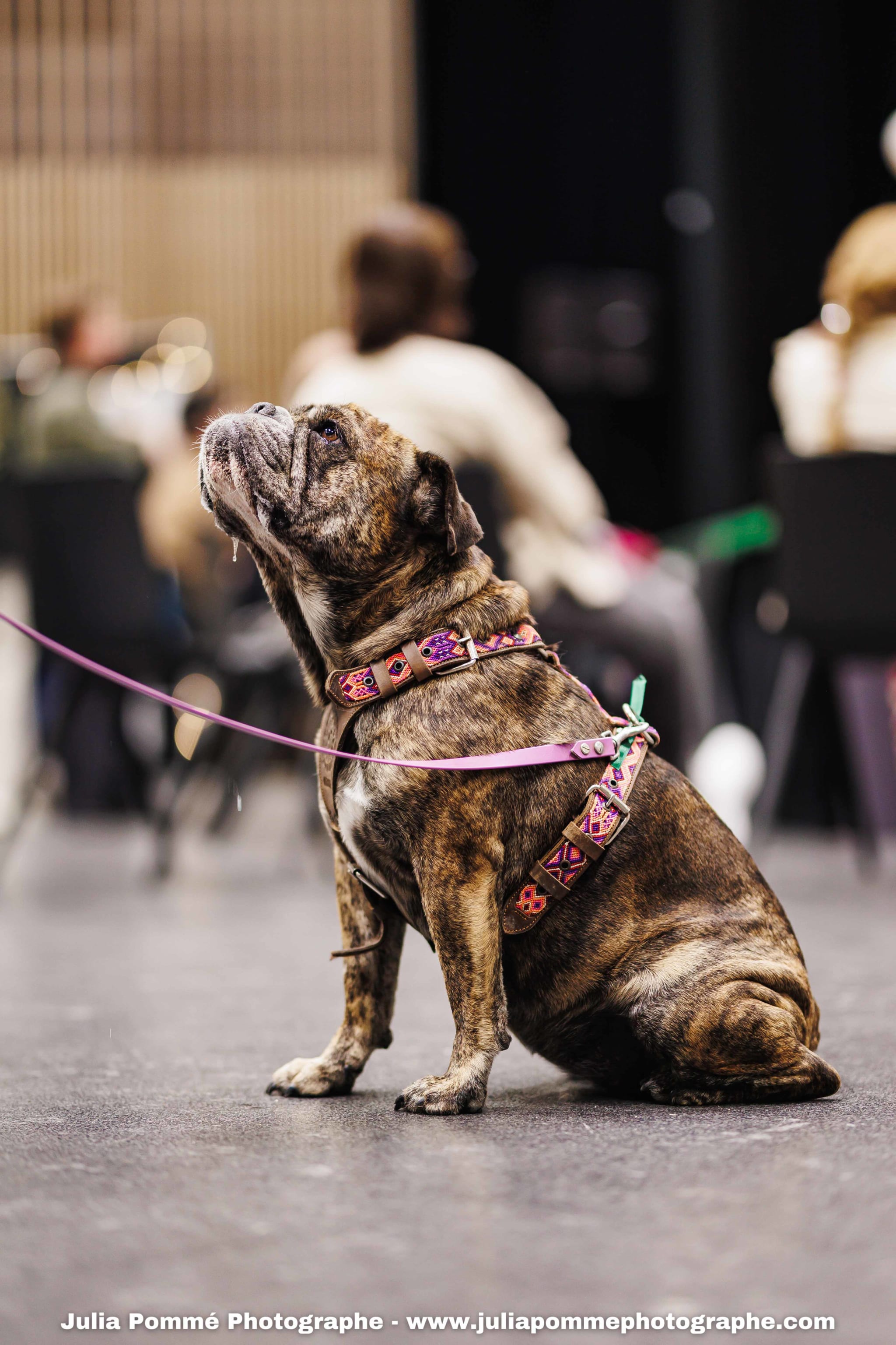 Photo du salon 2025 par Julia Pommé Photographe.