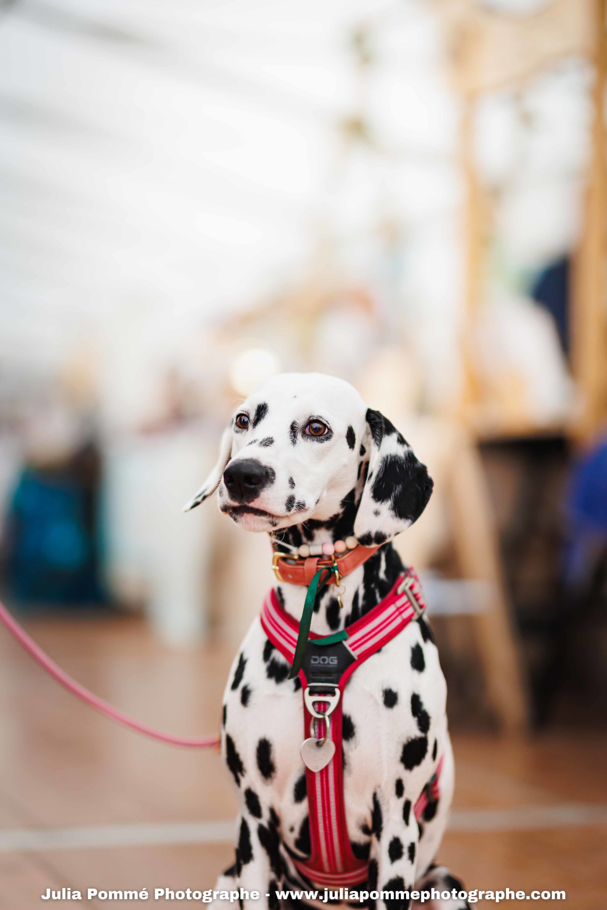 Photo du salon 2025 par Julia Pommé Photographe.