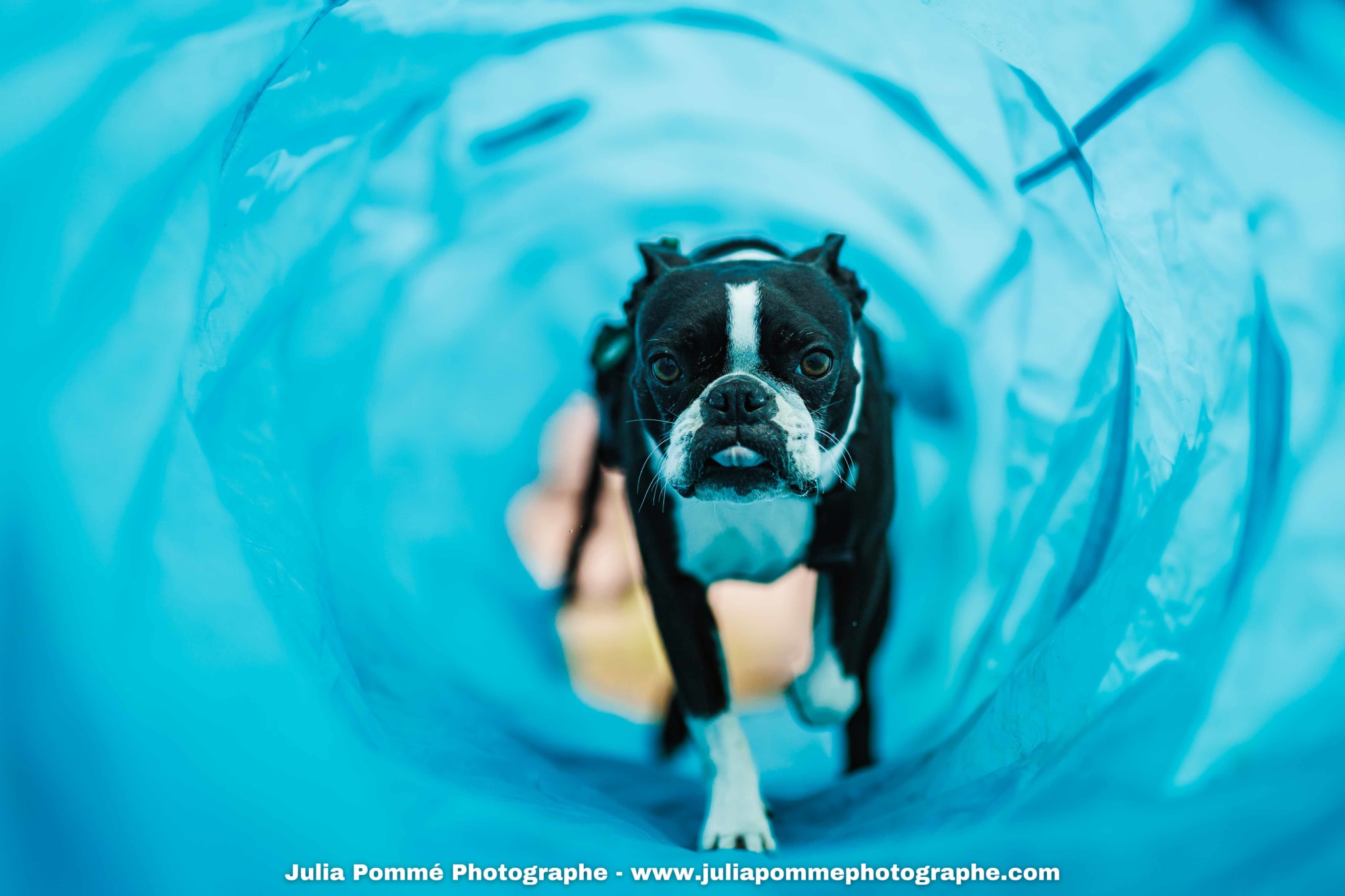 Photo du salon 2025 par Julia Pommé Photographe.