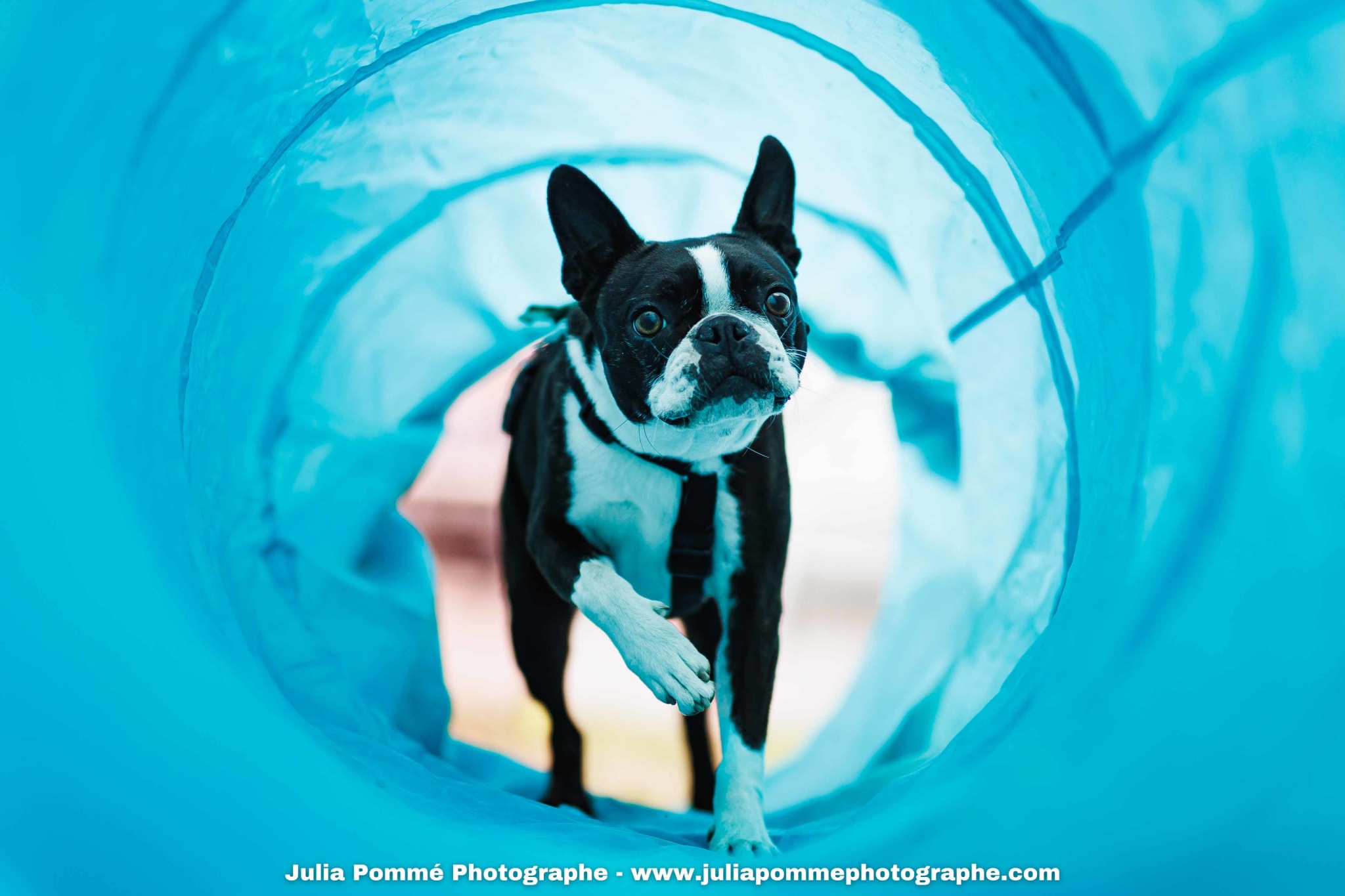 Photo du salon 2025 par Julia Pommé Photographe.