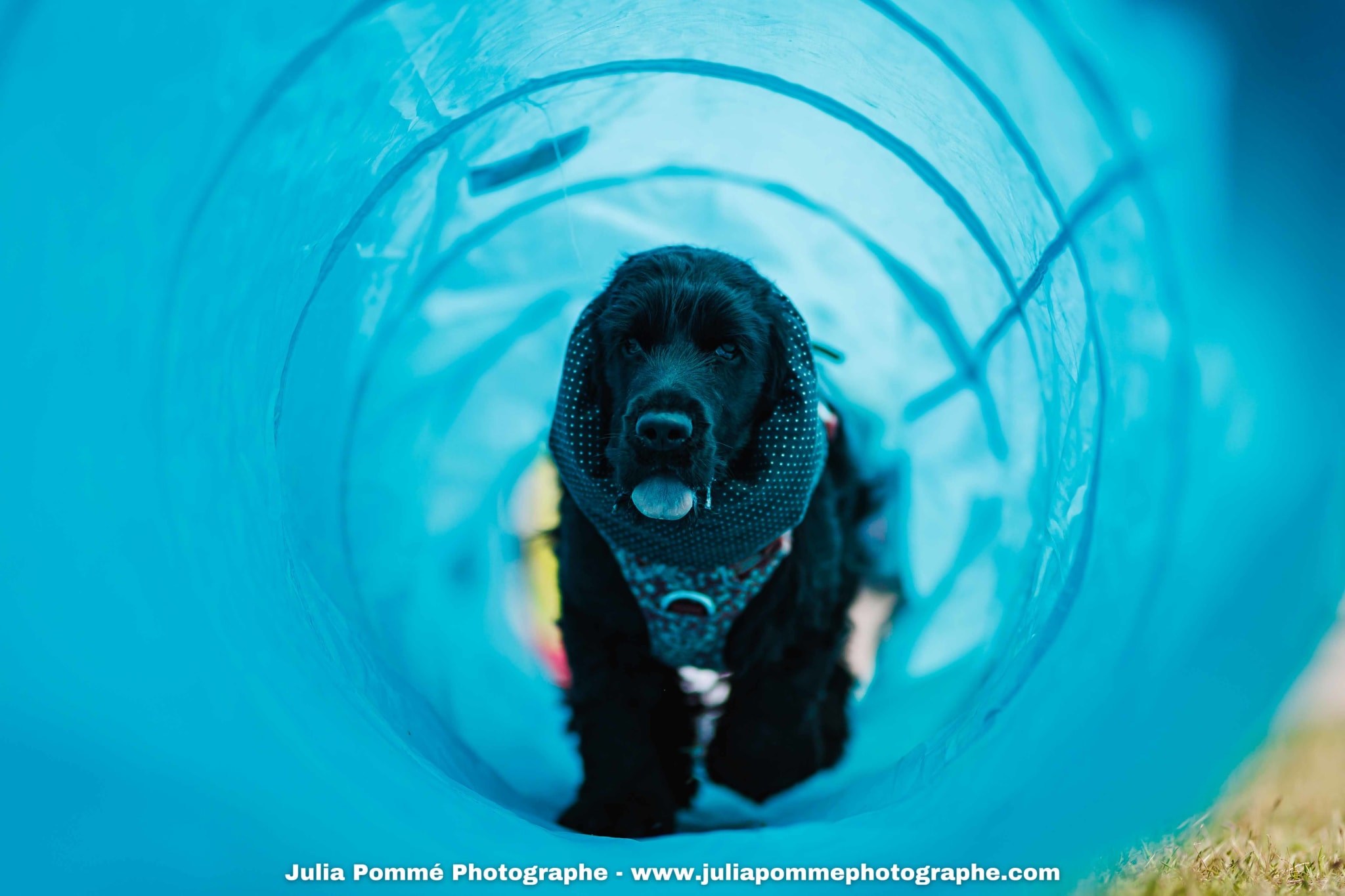 Photo du salon 2025 par Julia Pommé Photographe.