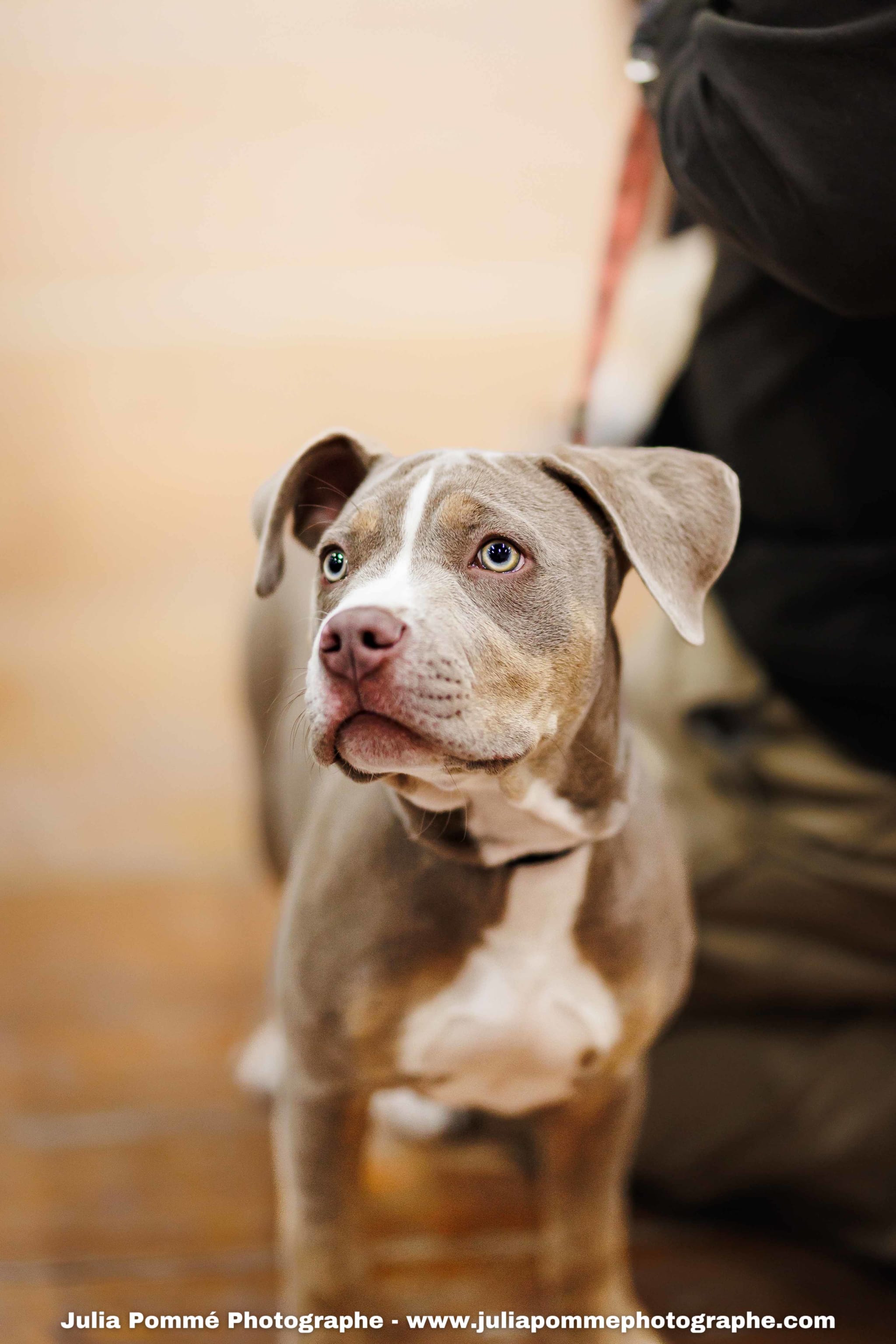 Photo du salon 2025 par Julia Pommé Photographe.