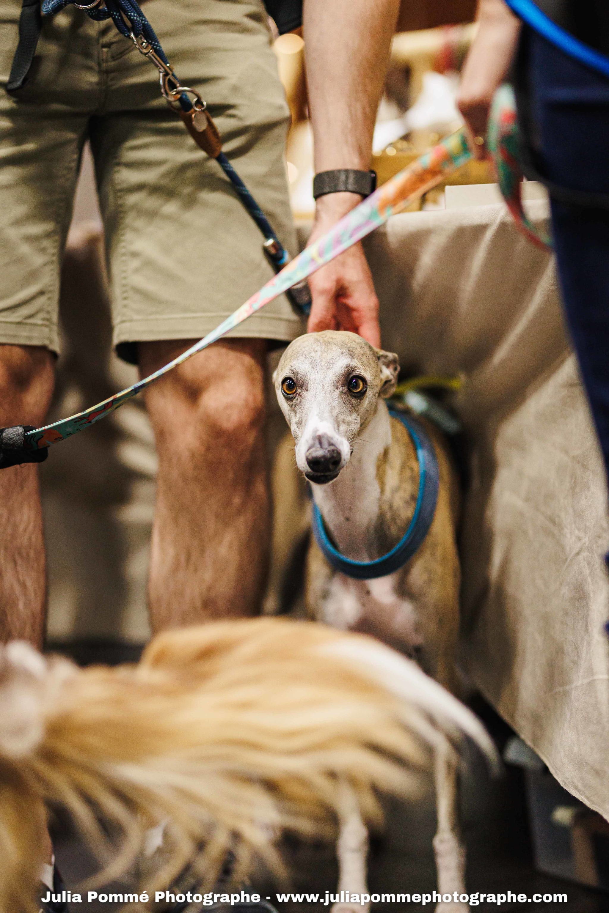 Photo du salon 2025 par Julia Pommé Photographe.