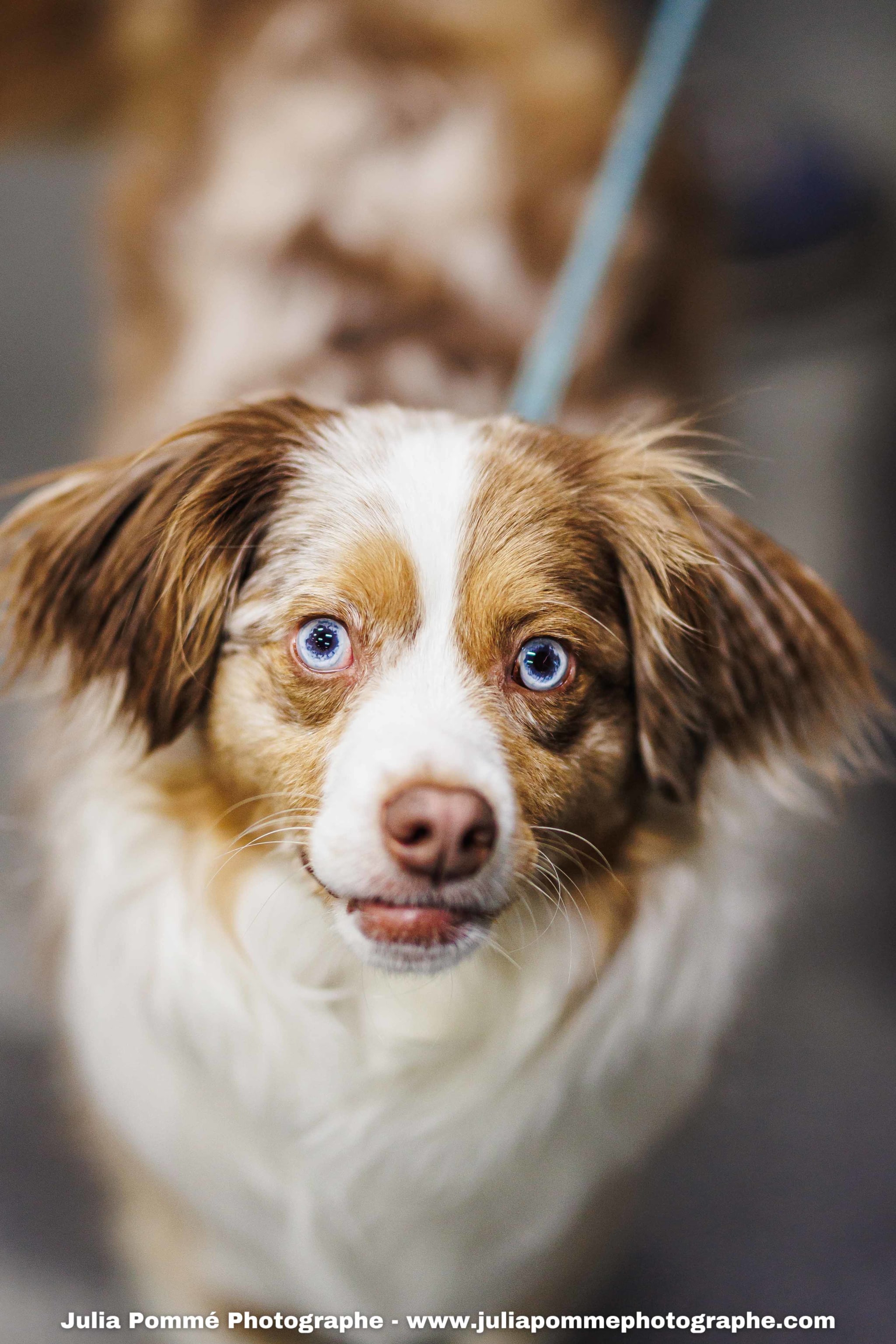 Photo du salon 2025 par Julia Pommé Photographe.