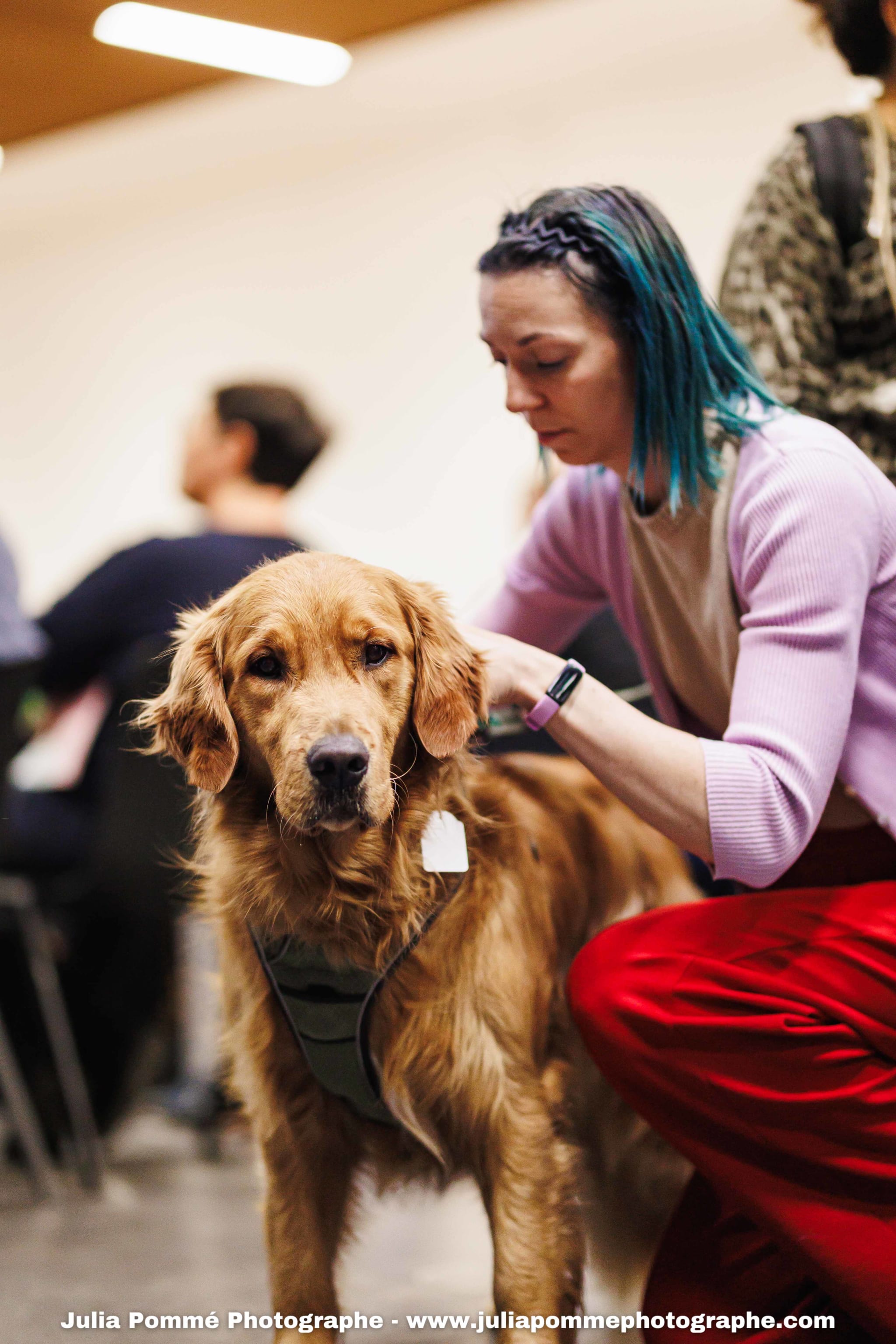 Photo du salon 2025 par Julia Pommé Photographe.