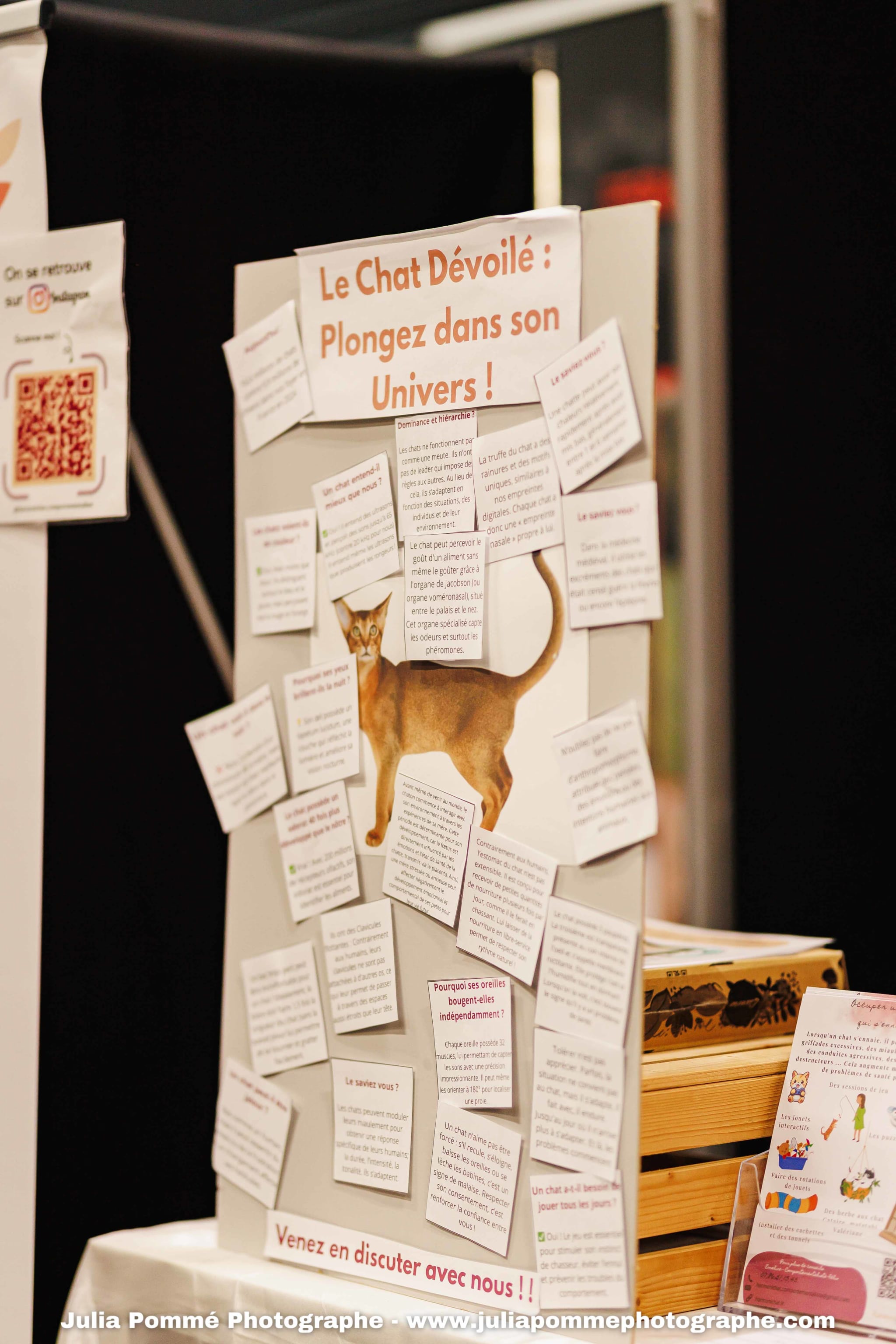 Photo du salon 2025 par Julia Pommé Photographe.