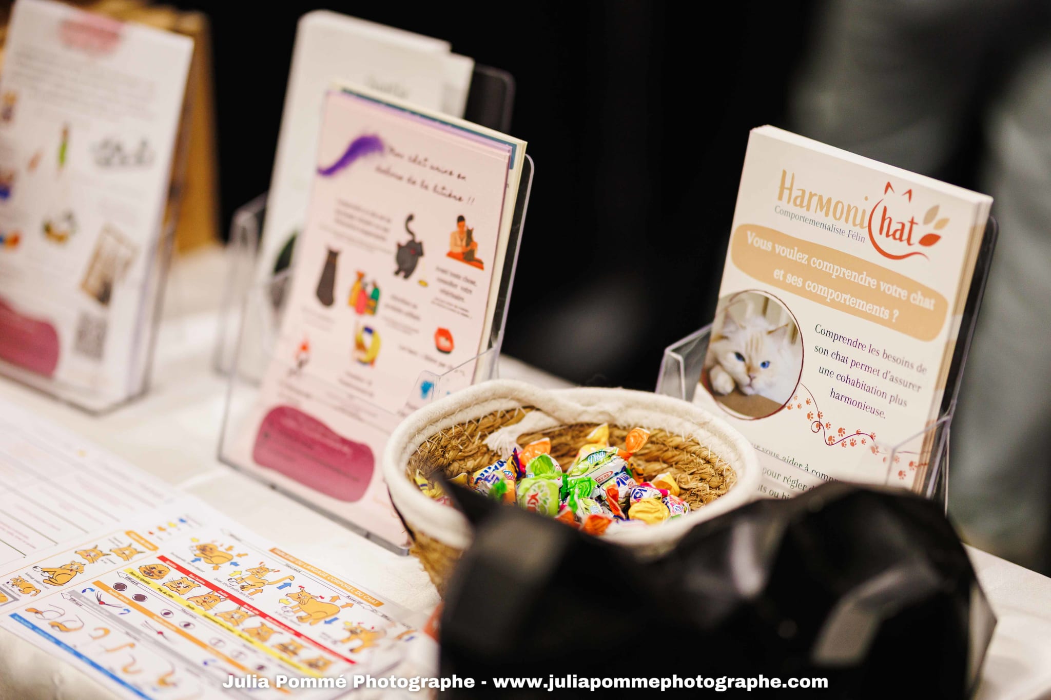 Photo du salon 2025 par Julia Pommé Photographe.