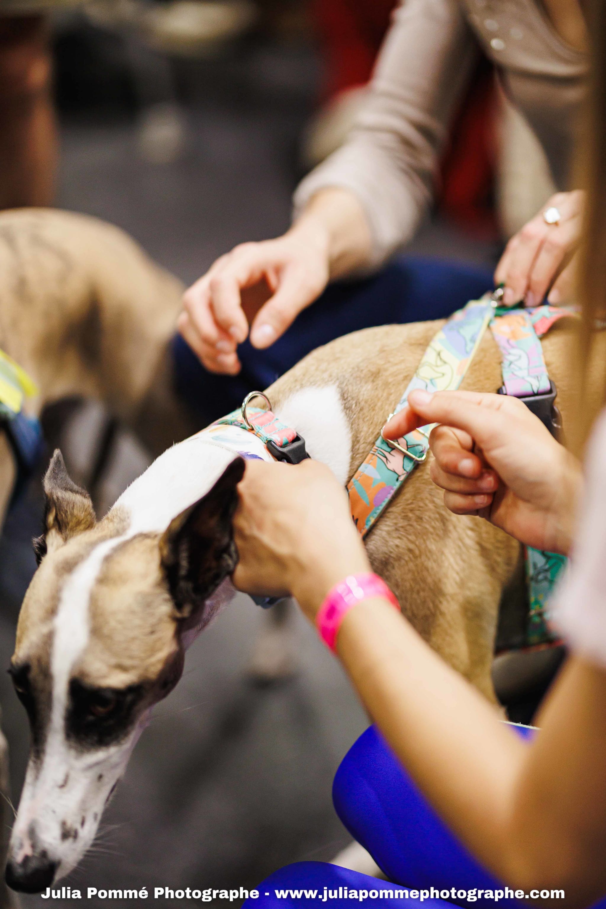 Photo du salon 2025 par Julia Pommé Photographe.