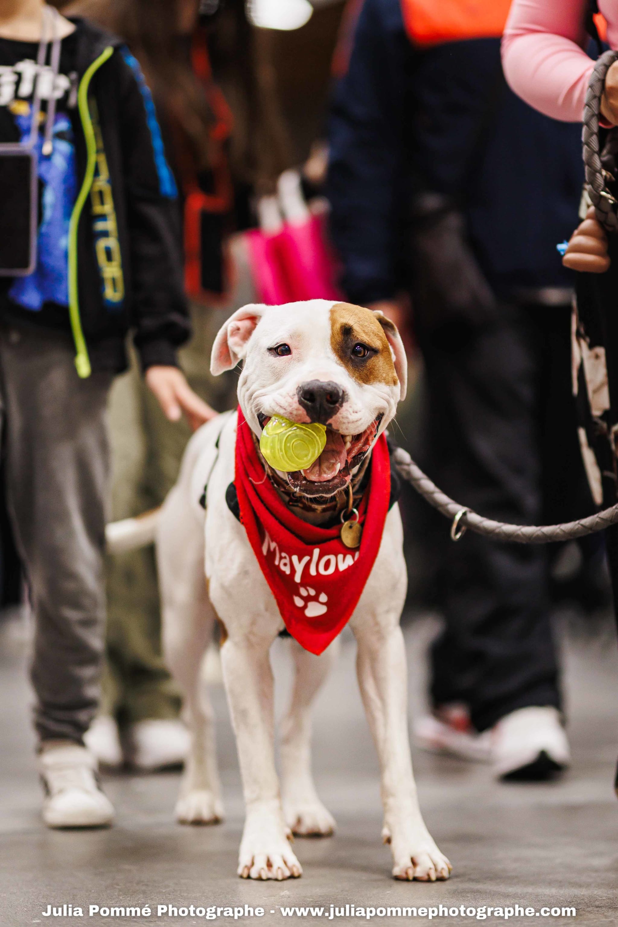 Photo du salon 2025 par Julia Pommé Photographe.