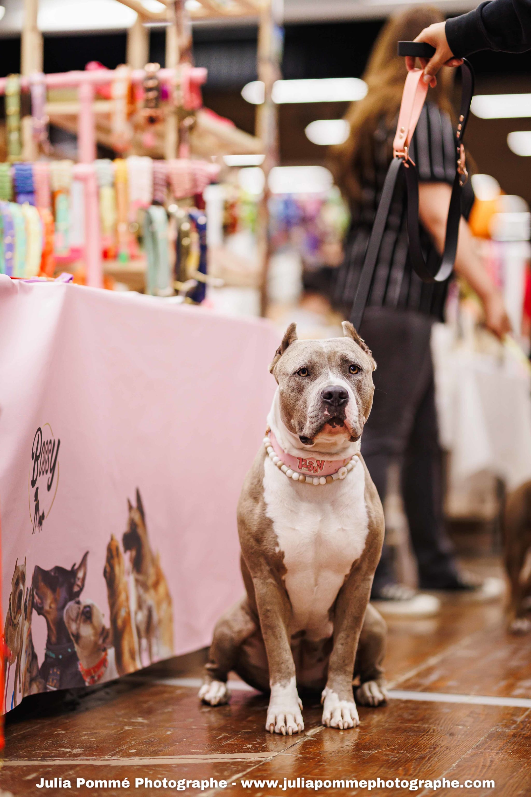 Photo du salon 2025 par Julia Pommé Photographe.