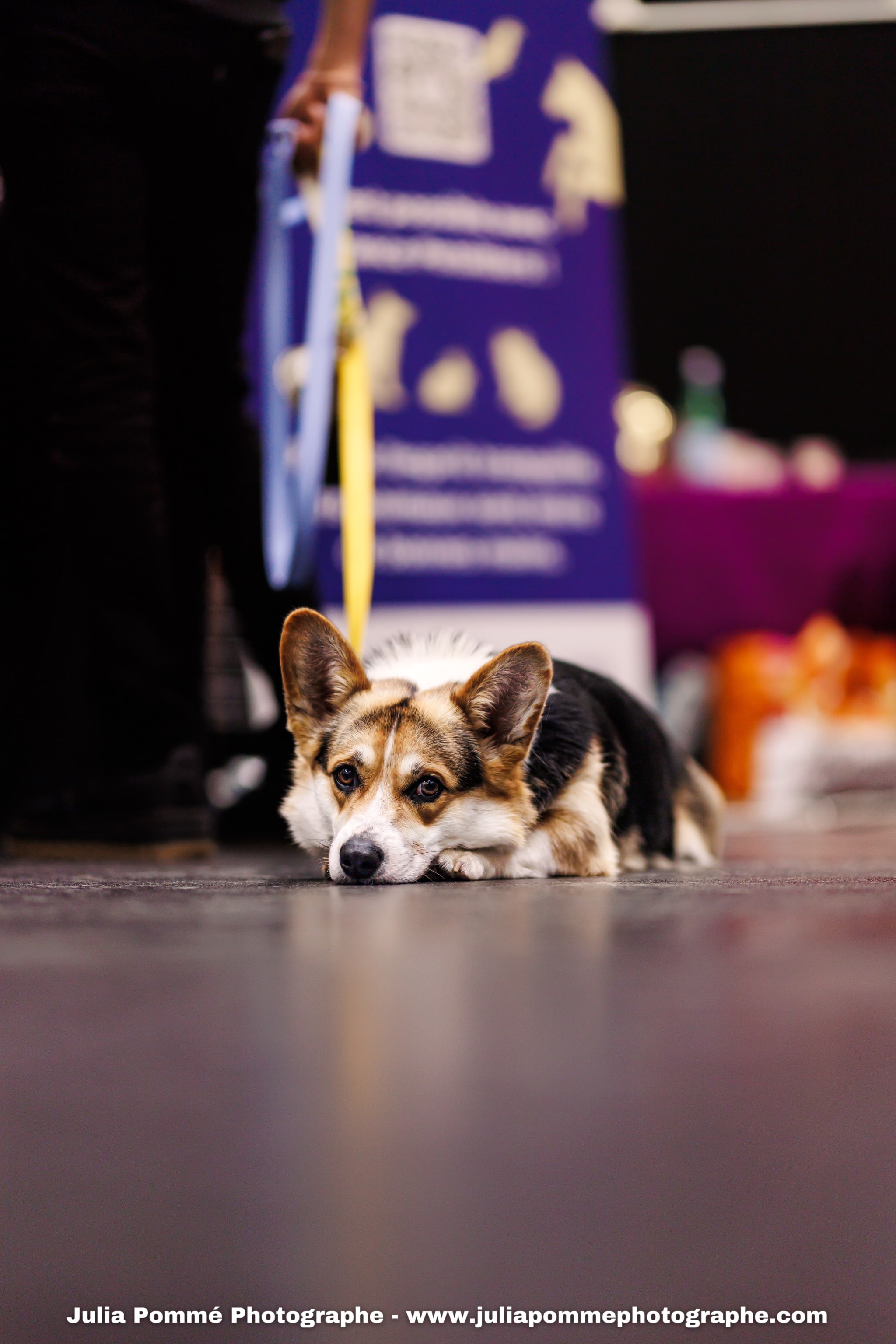 Photo du salon 2025 par Julia Pommé Photographe.