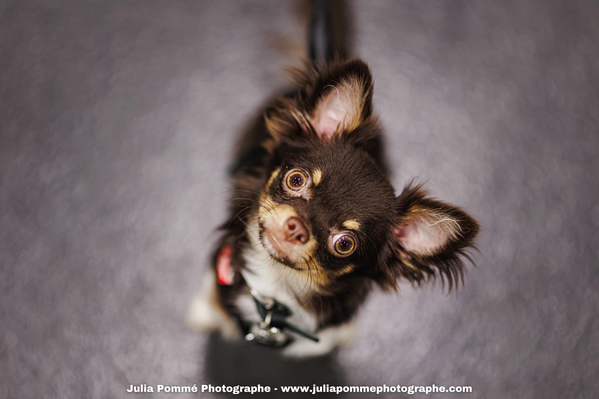 Photo du salon 2025 par Julia Pommé Photographe.